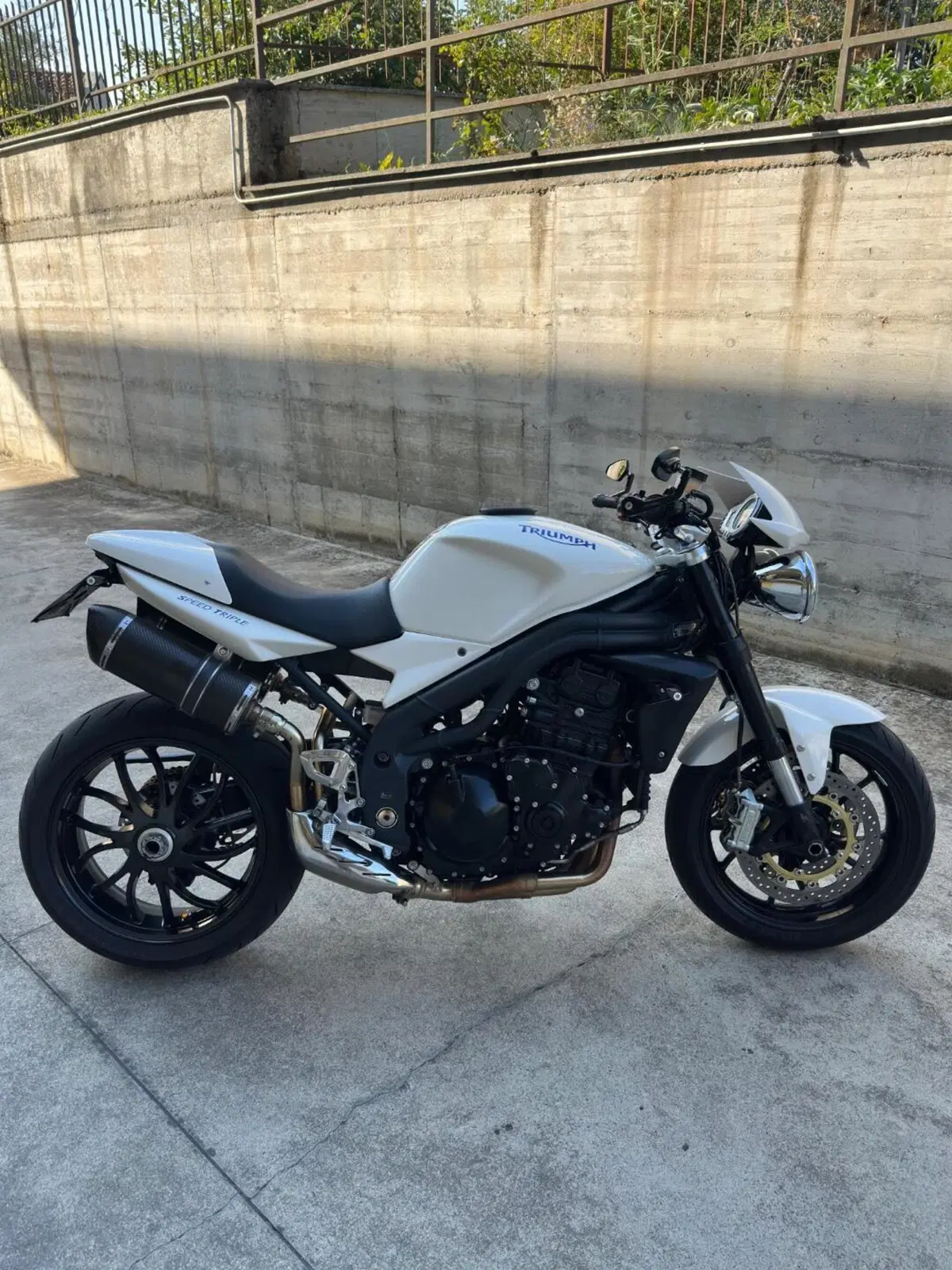 Triumph Speed Triple 1050 (2005 - 11) (2)