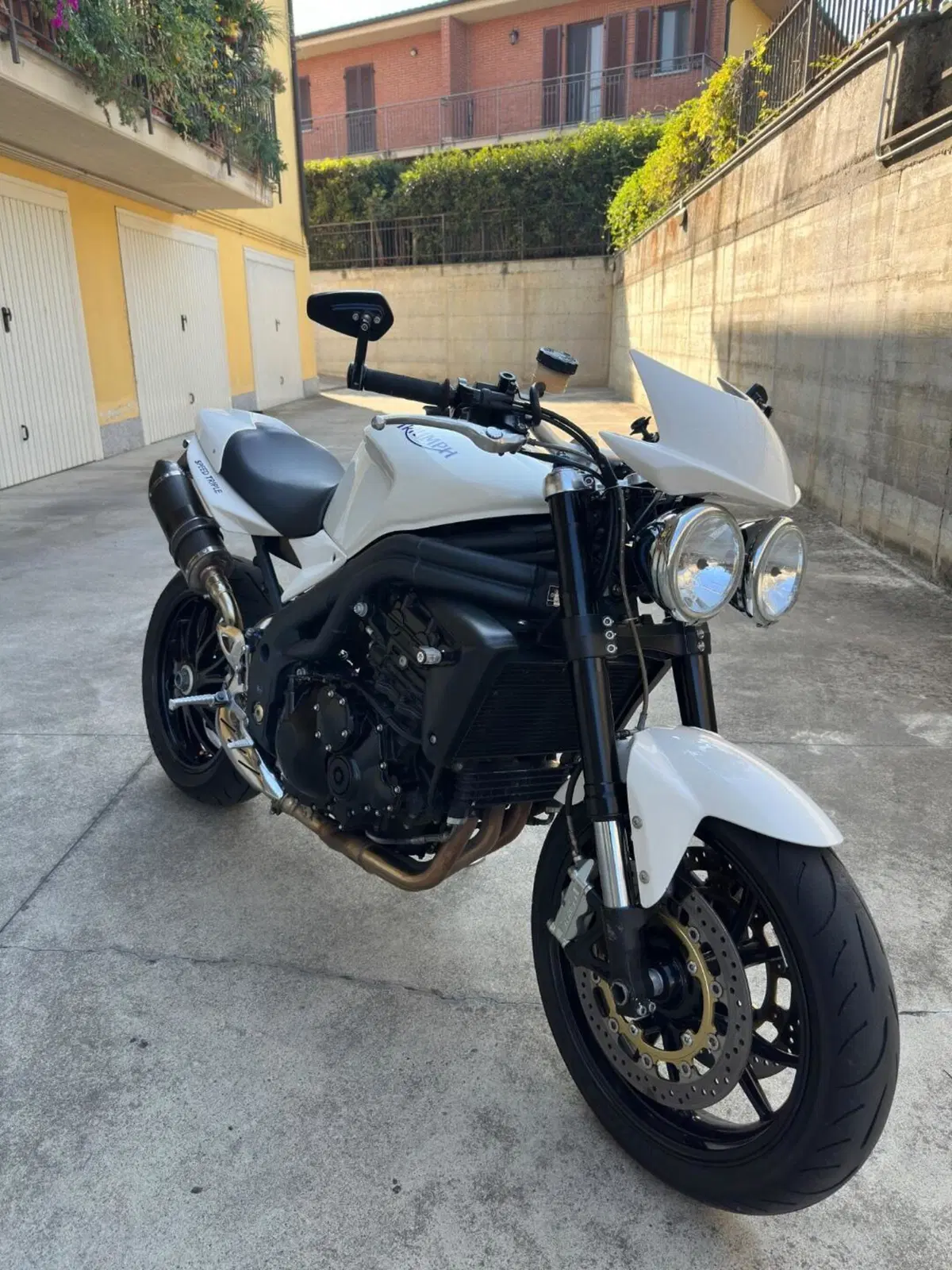 Triumph Speed Triple 1050 (2005 - 11) (3)