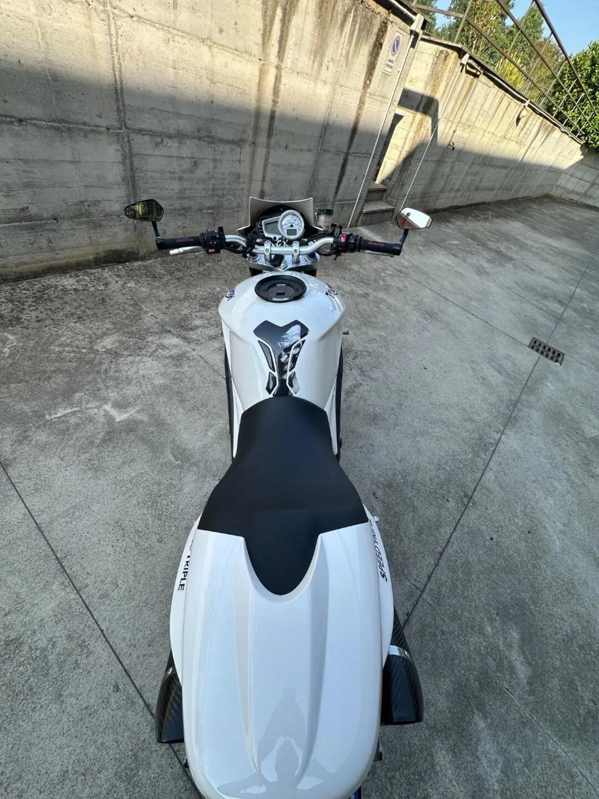 Triumph Speed Triple 1050 (2005 - 11) (12)