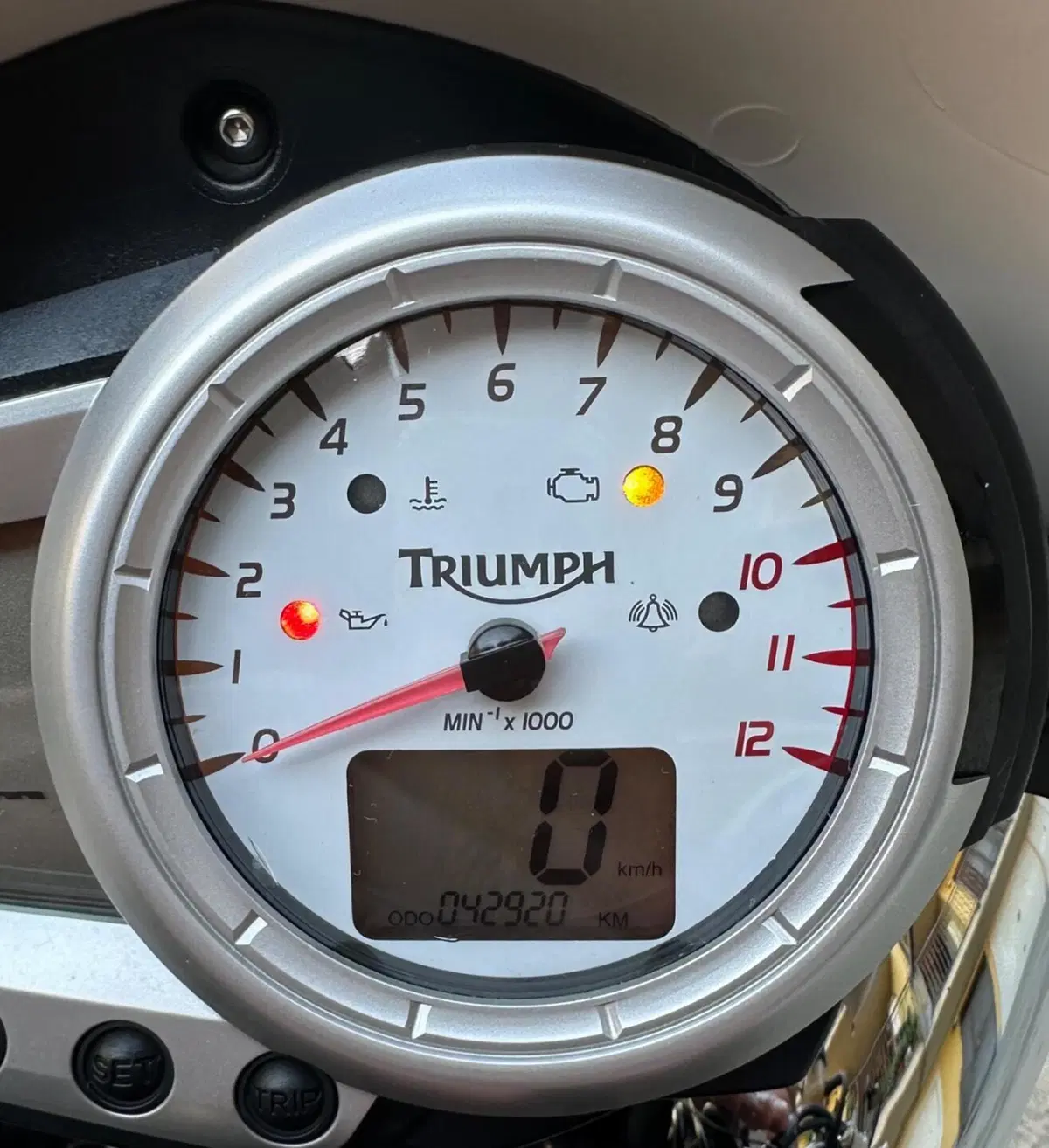 Triumph Speed Triple 1050 (2005 - 11) (13)
