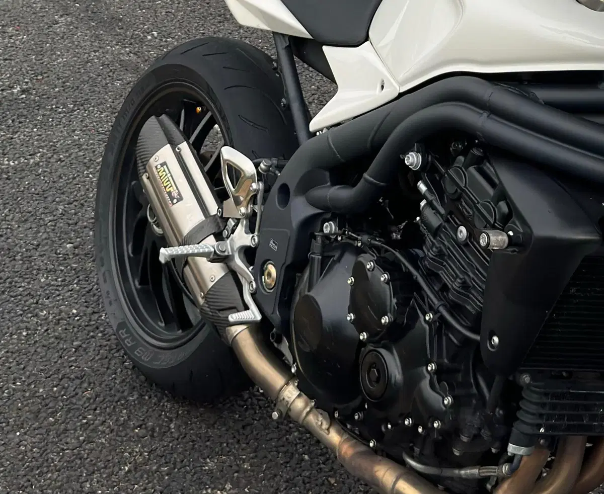 Triumph Speed Triple 1050 (2005 - 11) (18)