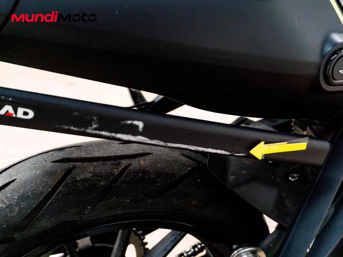 Benelli Leoncino 250 (2019 - 20) (19)