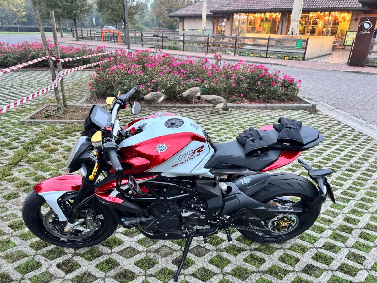 MV Agusta Brutale 800 RR (2021 - 25)
