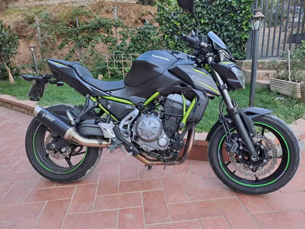 Kawasaki Z 650 (2017 - 19)