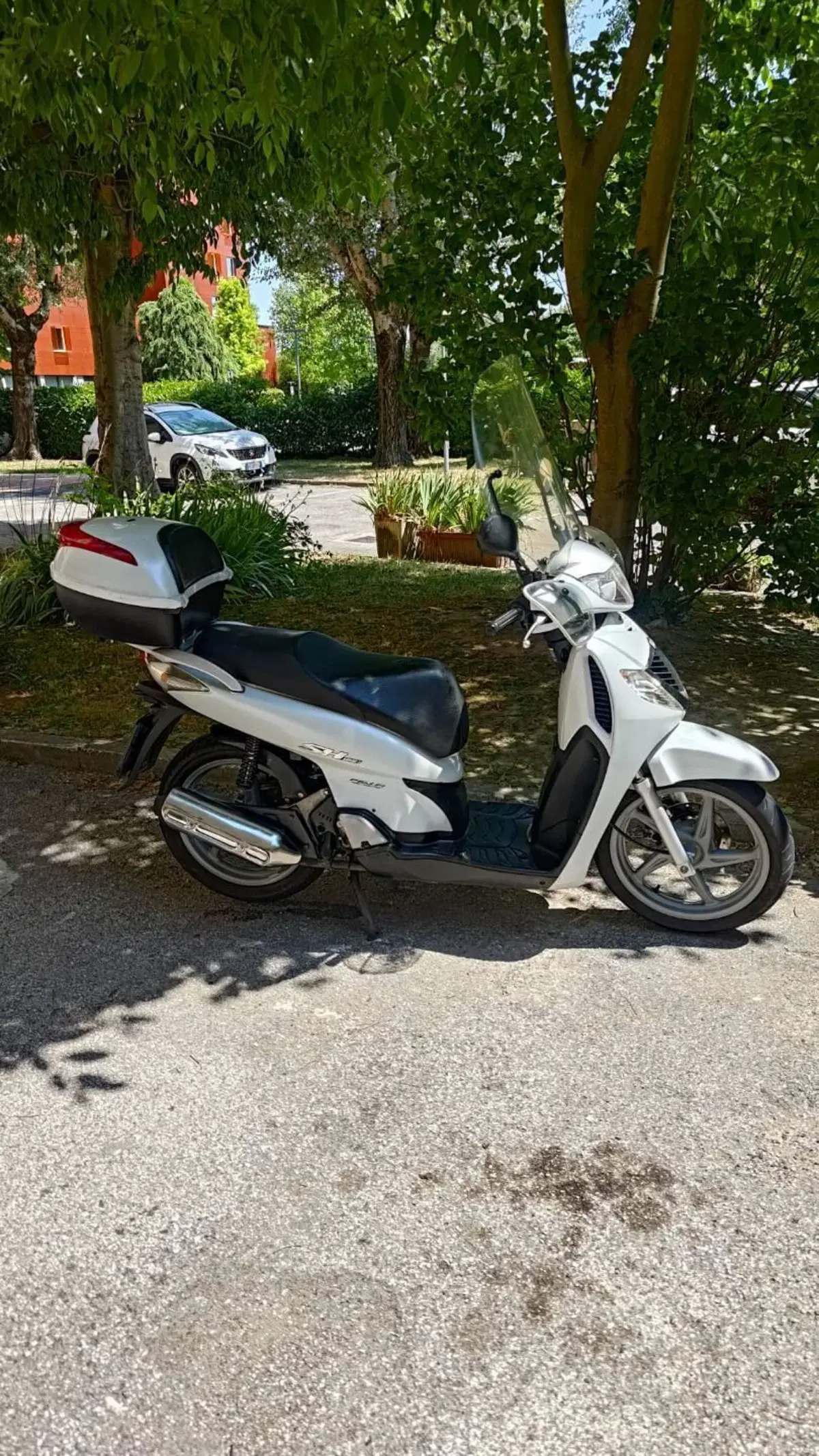 Honda SH 125 i (2009 - 12) (7)