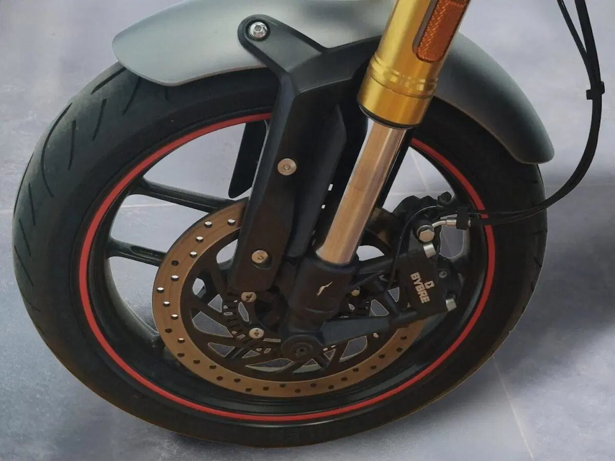 Triumph Speed 400 (2024 - 26) (9)