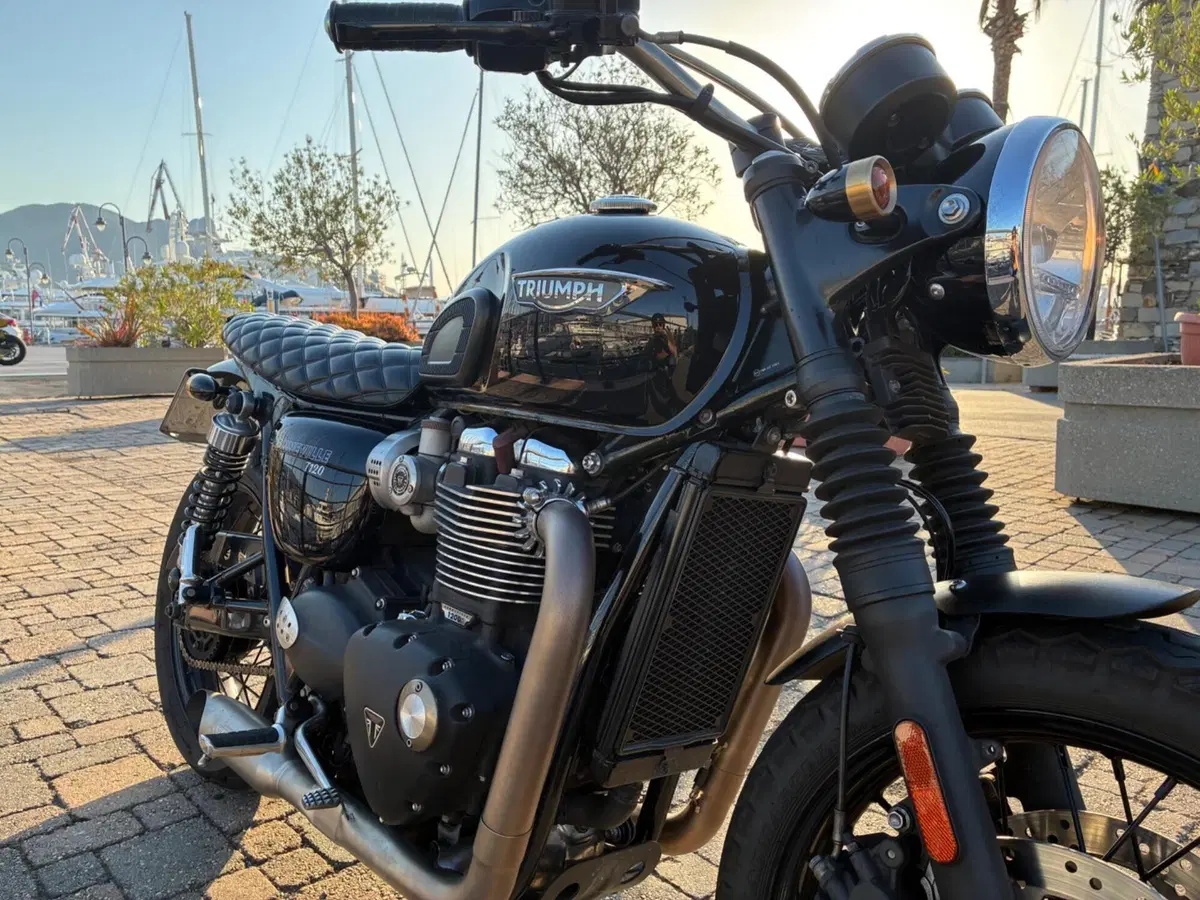 Triumph Bonneville T120 (2016 - 20) (3)