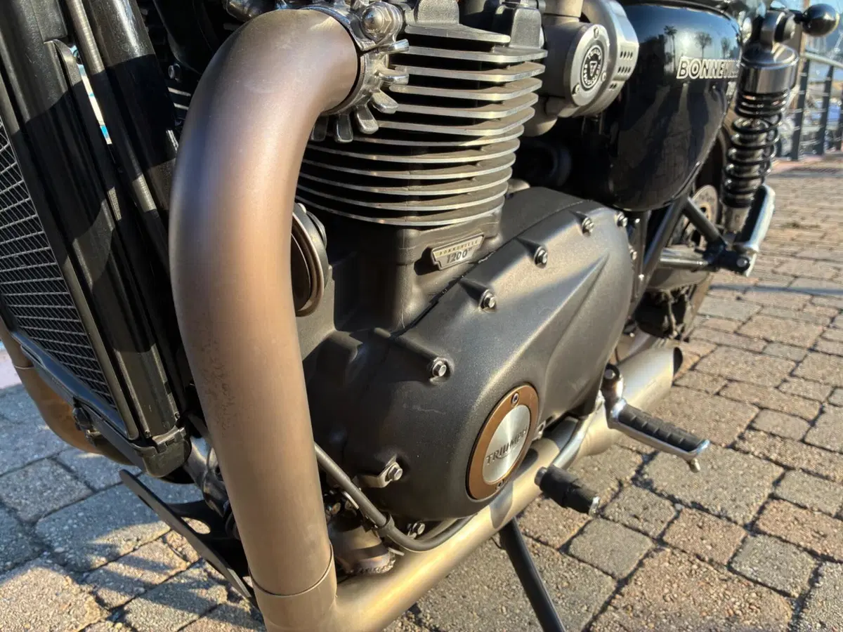 Triumph Bonneville T120 (2016 - 20) (16)