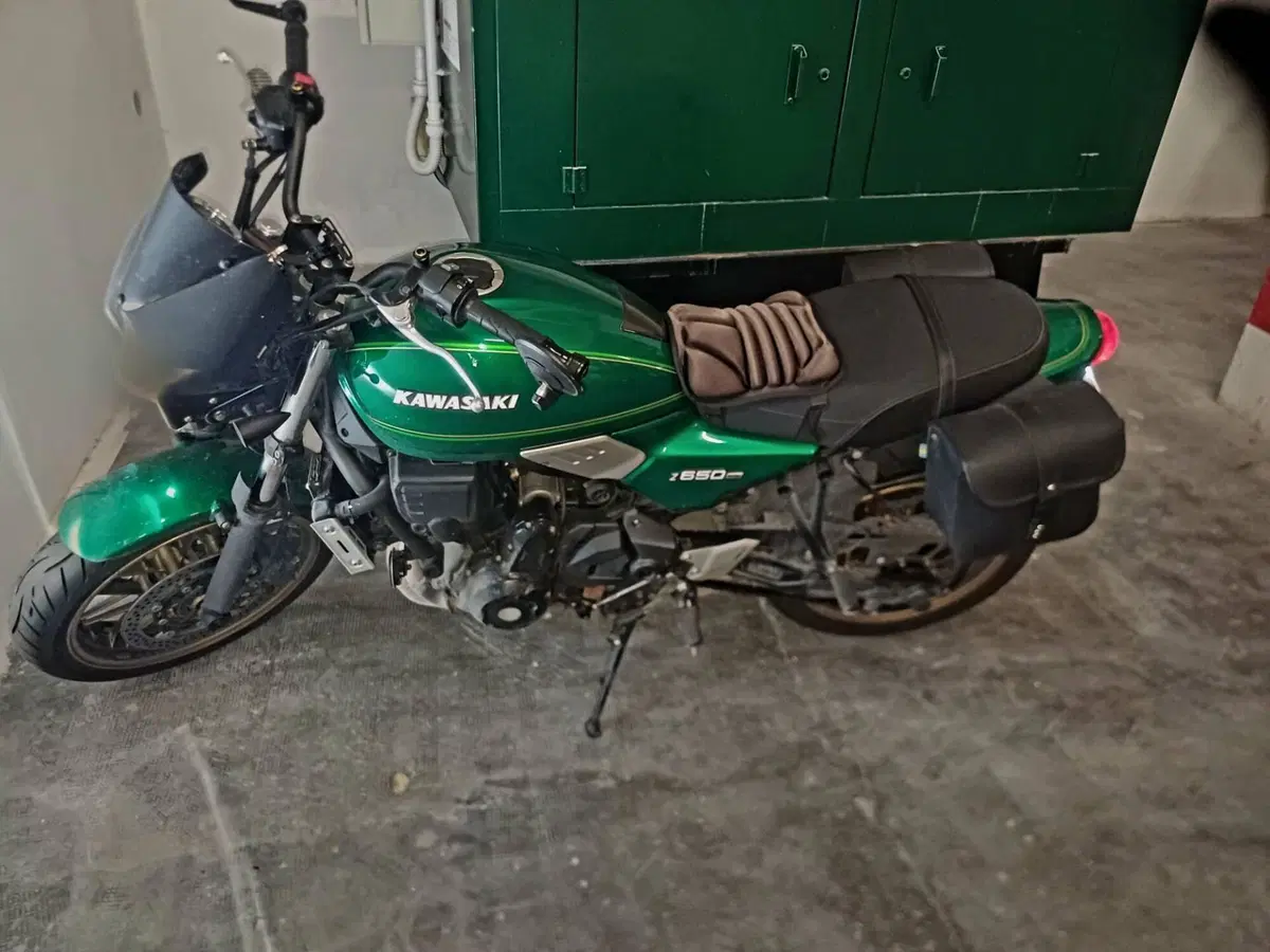 Kawasaki Z 650 RS (2022 - 24)
