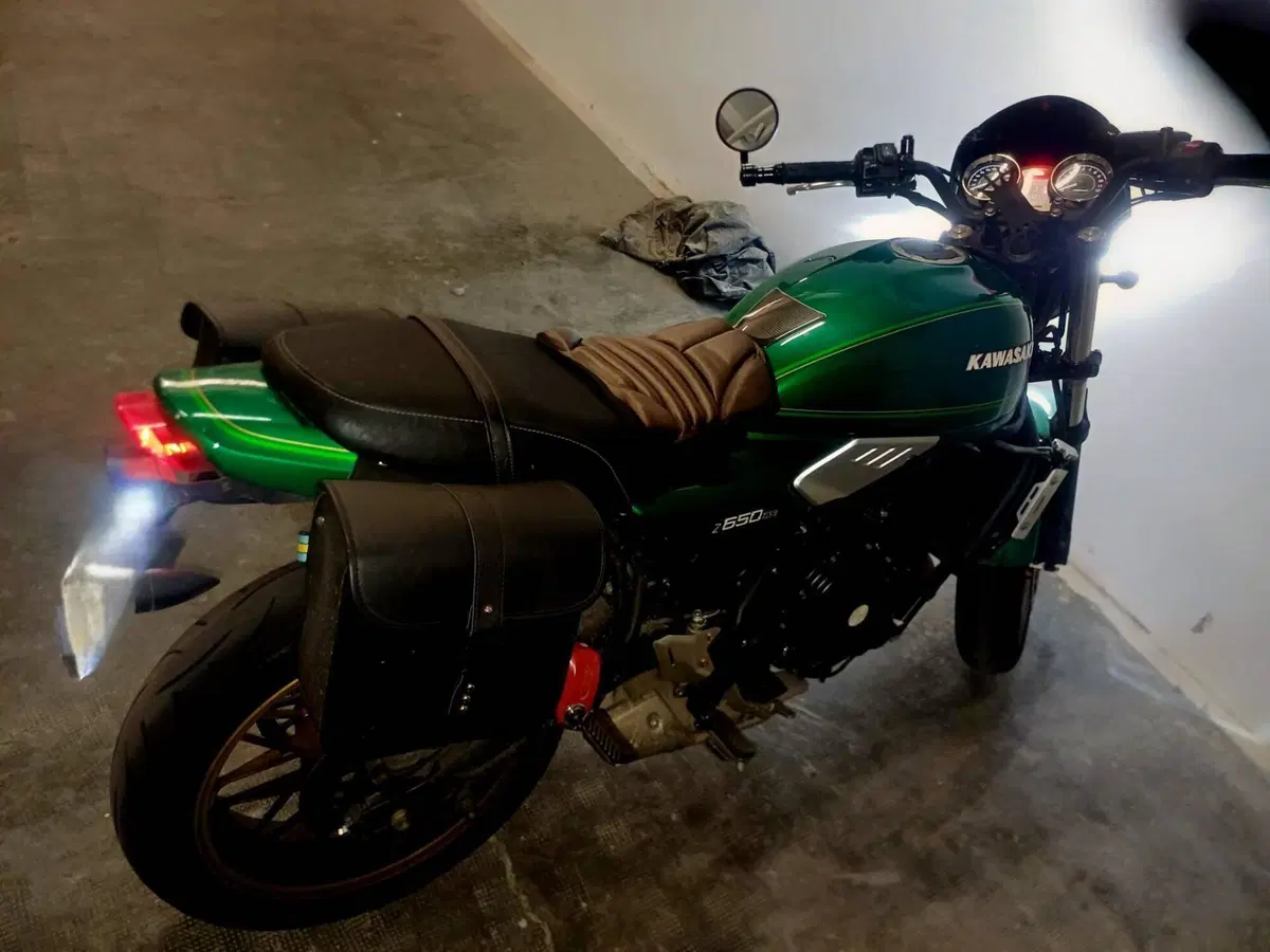 Kawasaki Z 650 RS (2022 - 24) (2)