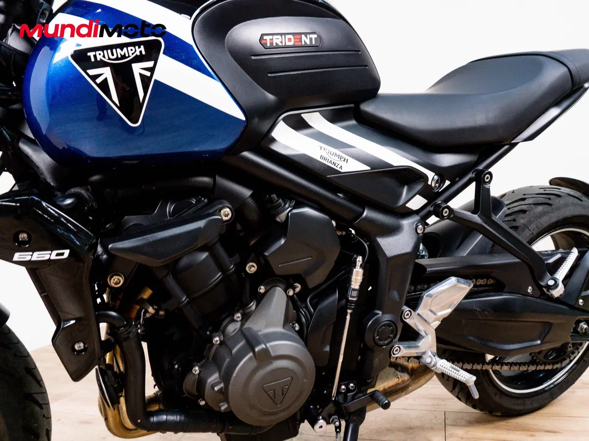 Triumph Trident 660 (2021 - 24) (9)