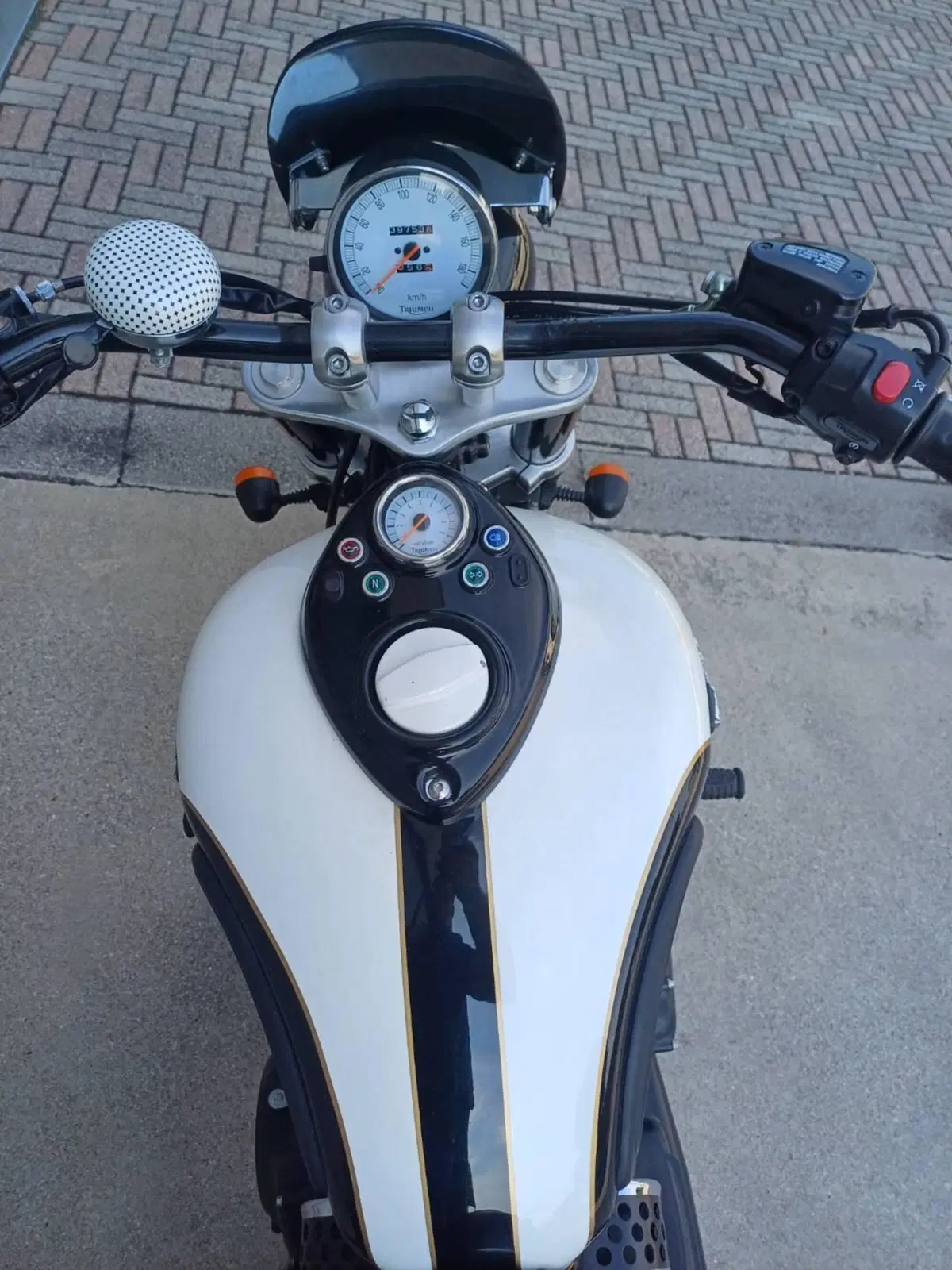 Triumph Speedmaster (2003 - 05) (11)