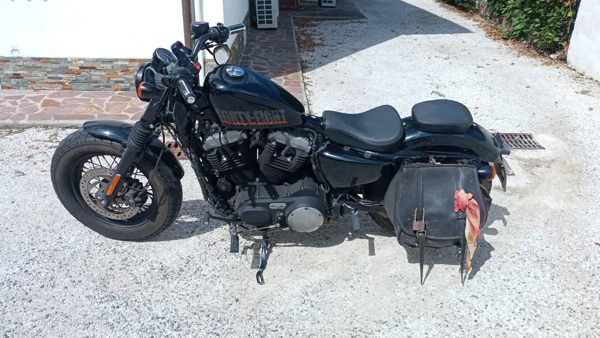 Harley-Davidson 1200 Forty-Eight (2010 - 15) (2)