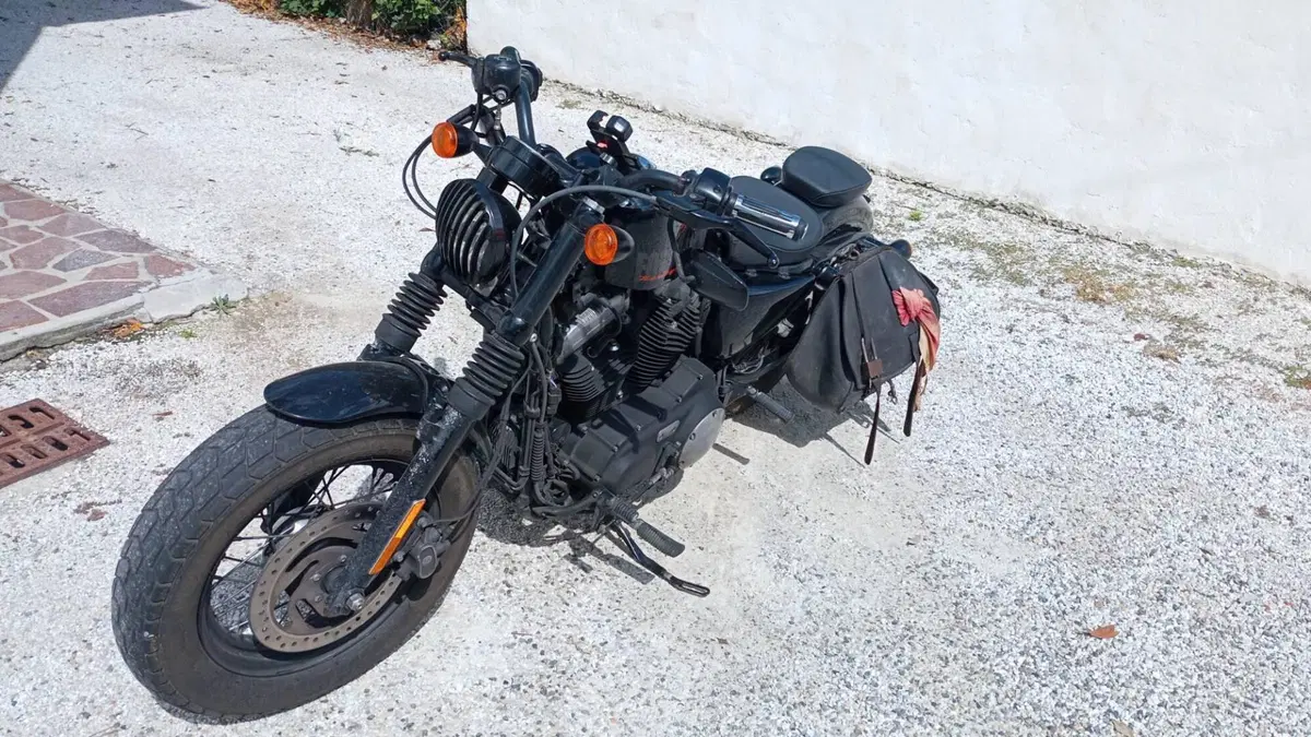 Harley-Davidson 1200 Forty-Eight (2010 - 15) (3)