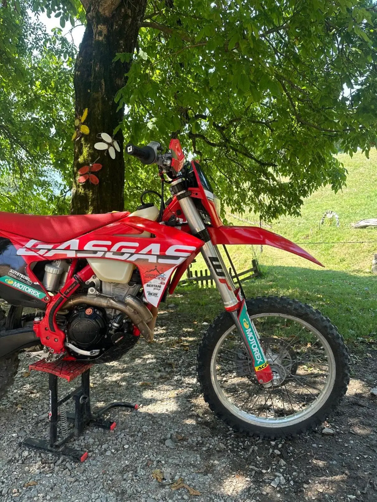 GASGAS EC 350 F (2022) (2)