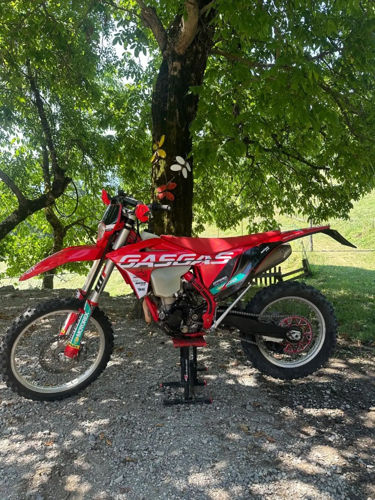 GASGAS EC 350 F (2022) (6)