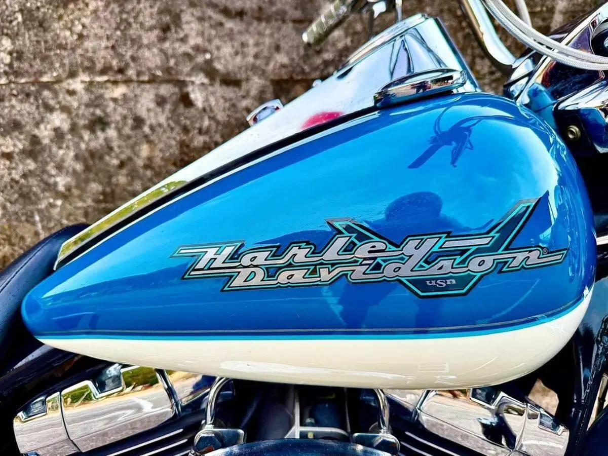 Harley-Davidson 1450 Road King Classic (1999 - 02) - FLHRCI (15)