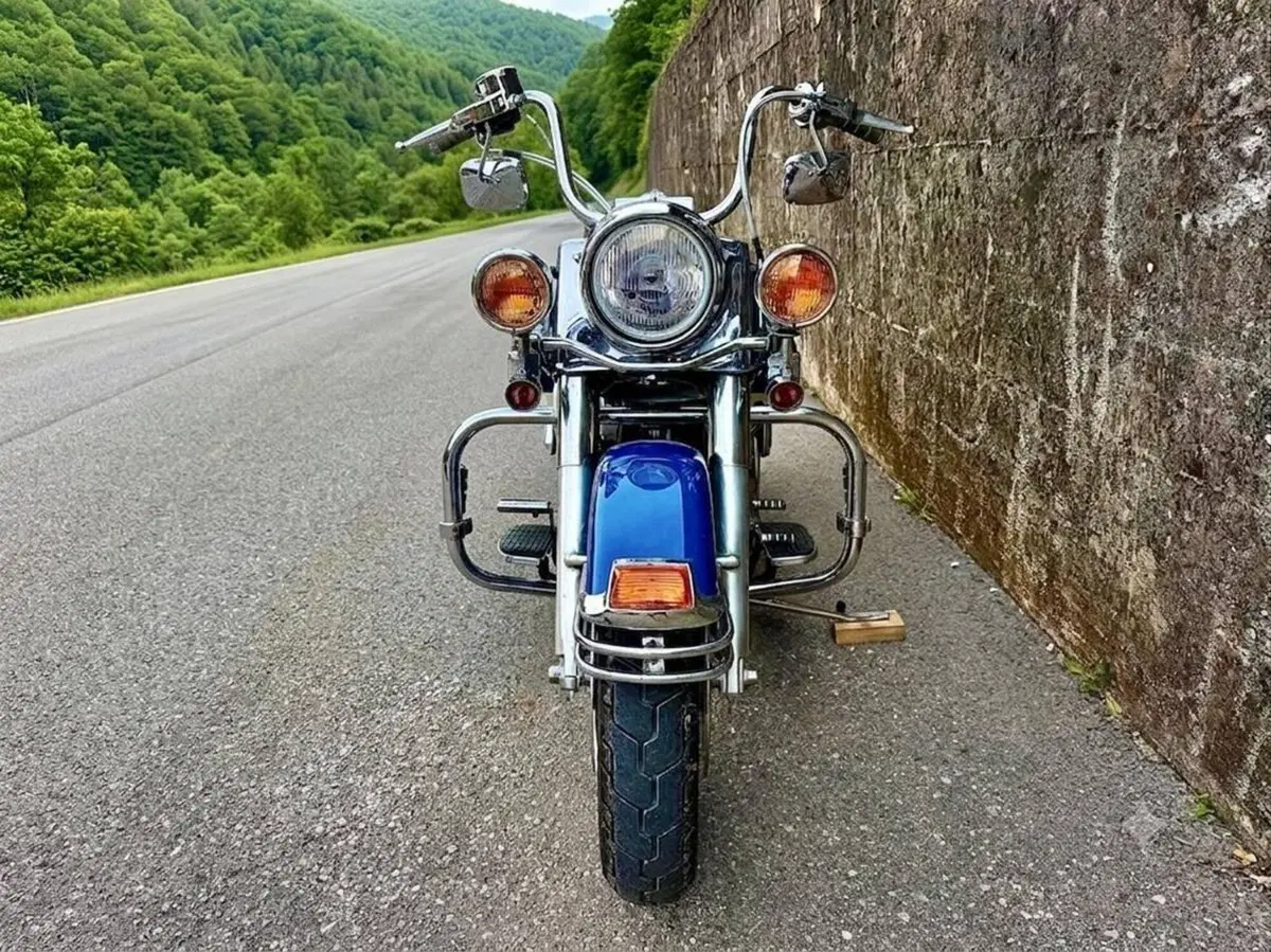 Harley-Davidson 1450 Road King Classic (1999 - 02) - FLHRCI (3)
