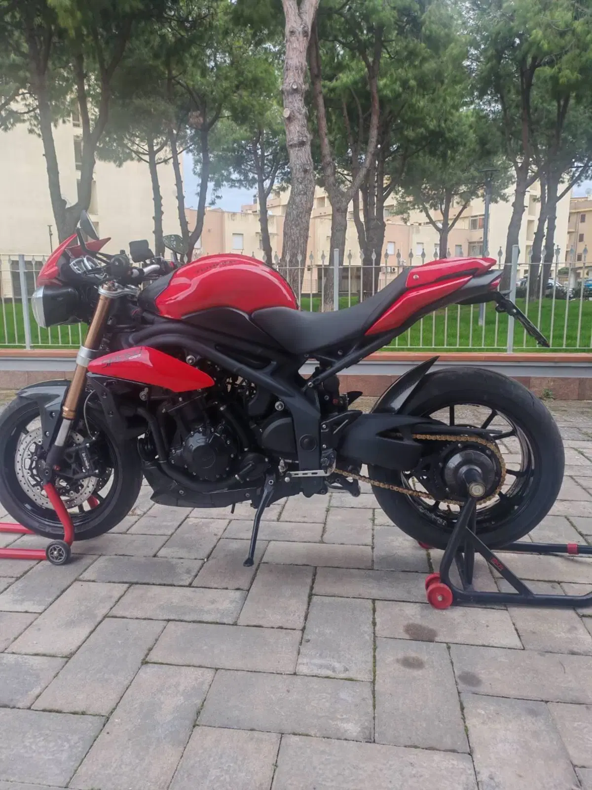 Triumph Speed Triple 1050 (2011 - 13) (3)