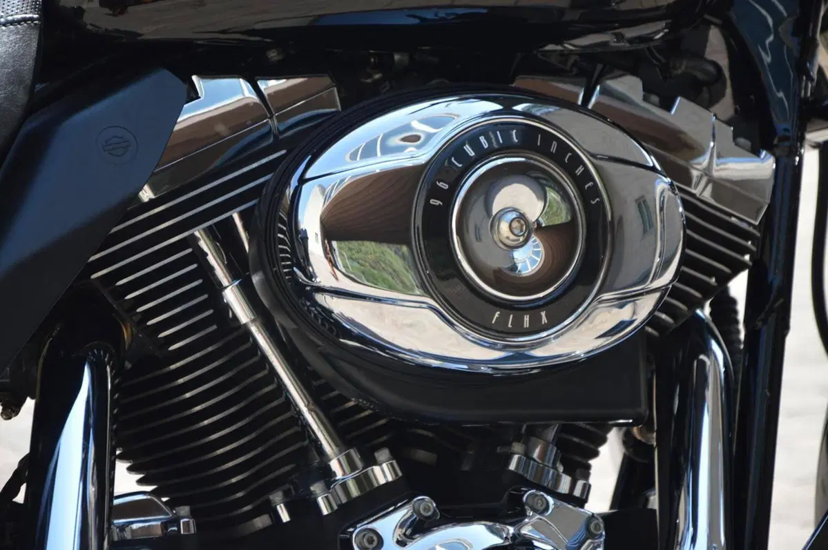 Harley-Davidson 1584 Street Glide (2007) - FLHX (5)