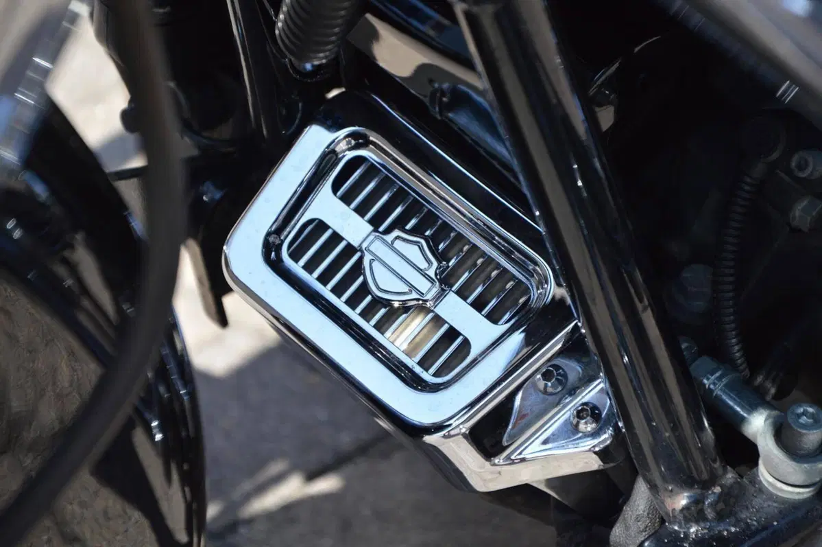 Harley-Davidson 1584 Street Glide (2007) - FLHX (8)