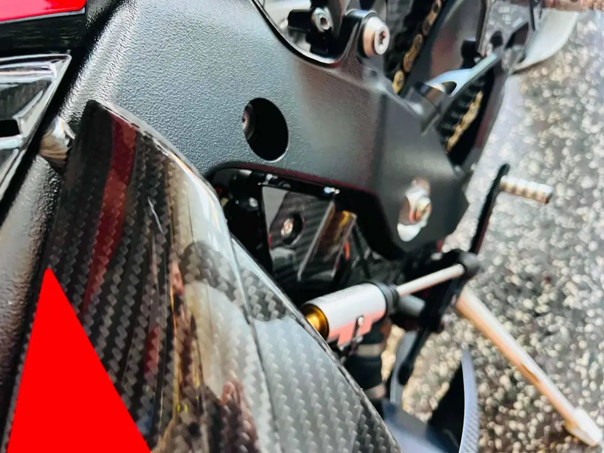 Bmw M 1000 RR (2023 - 24) (14)
