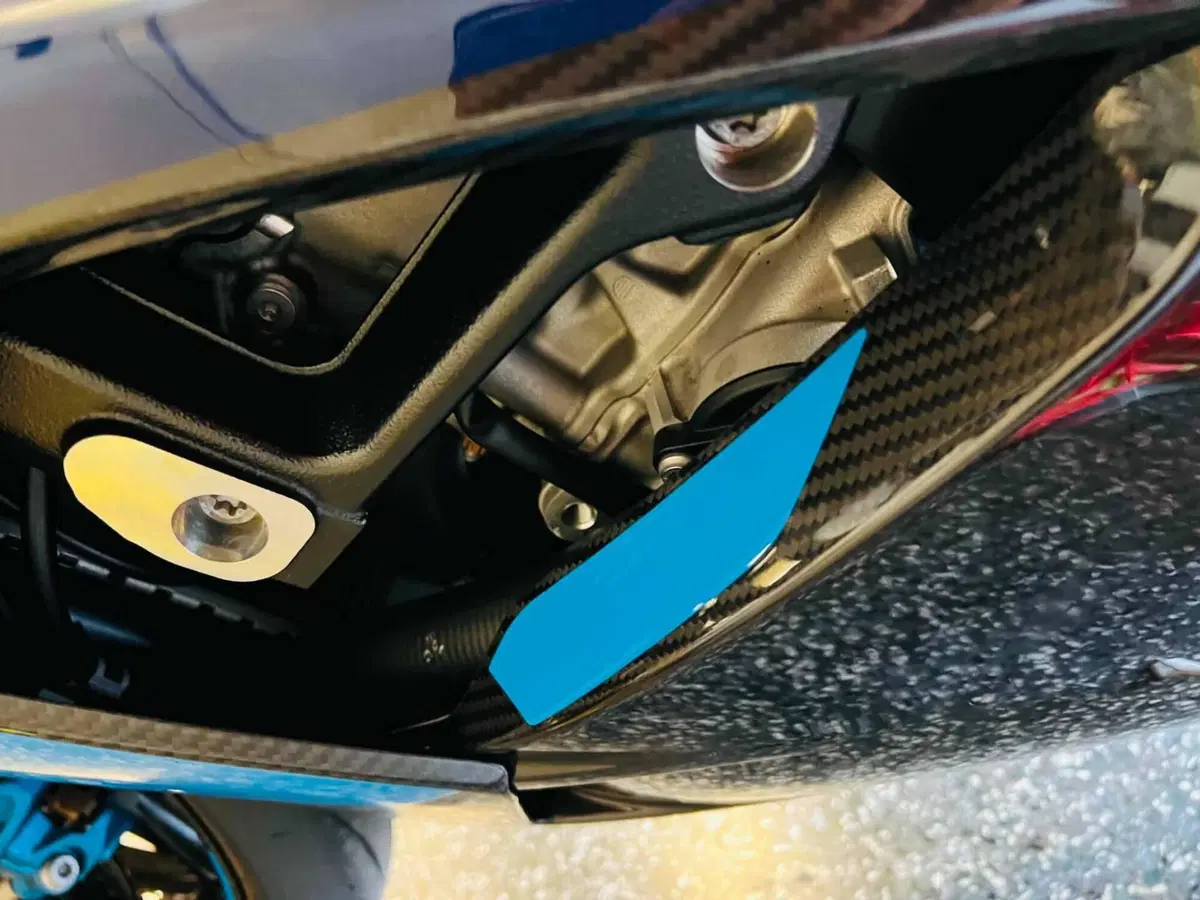 Bmw M 1000 RR (2023 - 24) (16)