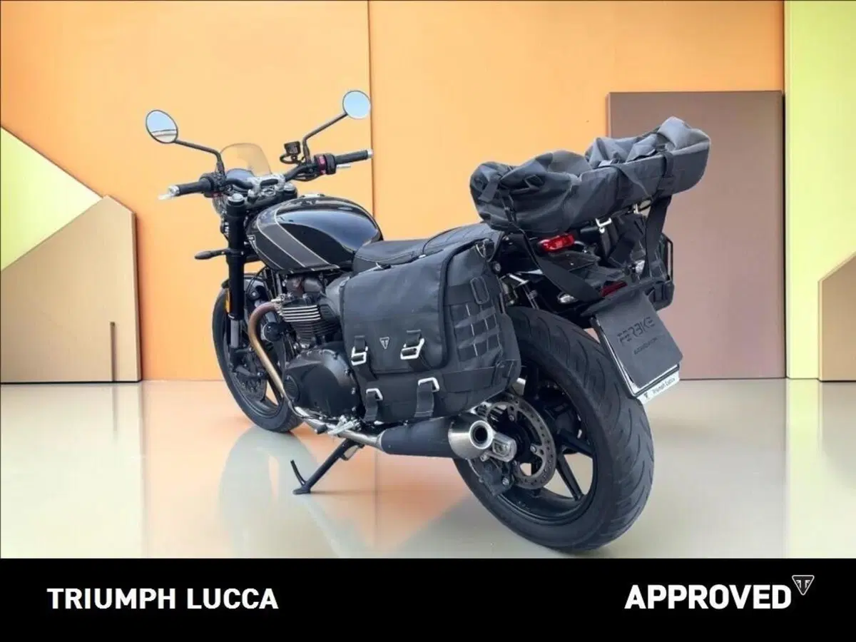 Triumph Speed Twin 900 (2025 - 26) (4)