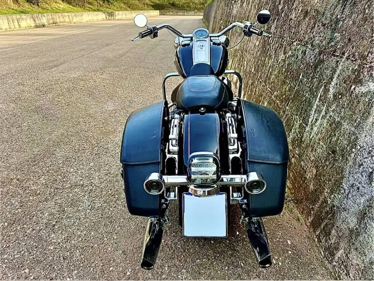 Harley-Davidson 1690 Road King (2013 - 16) - FLHR (7)