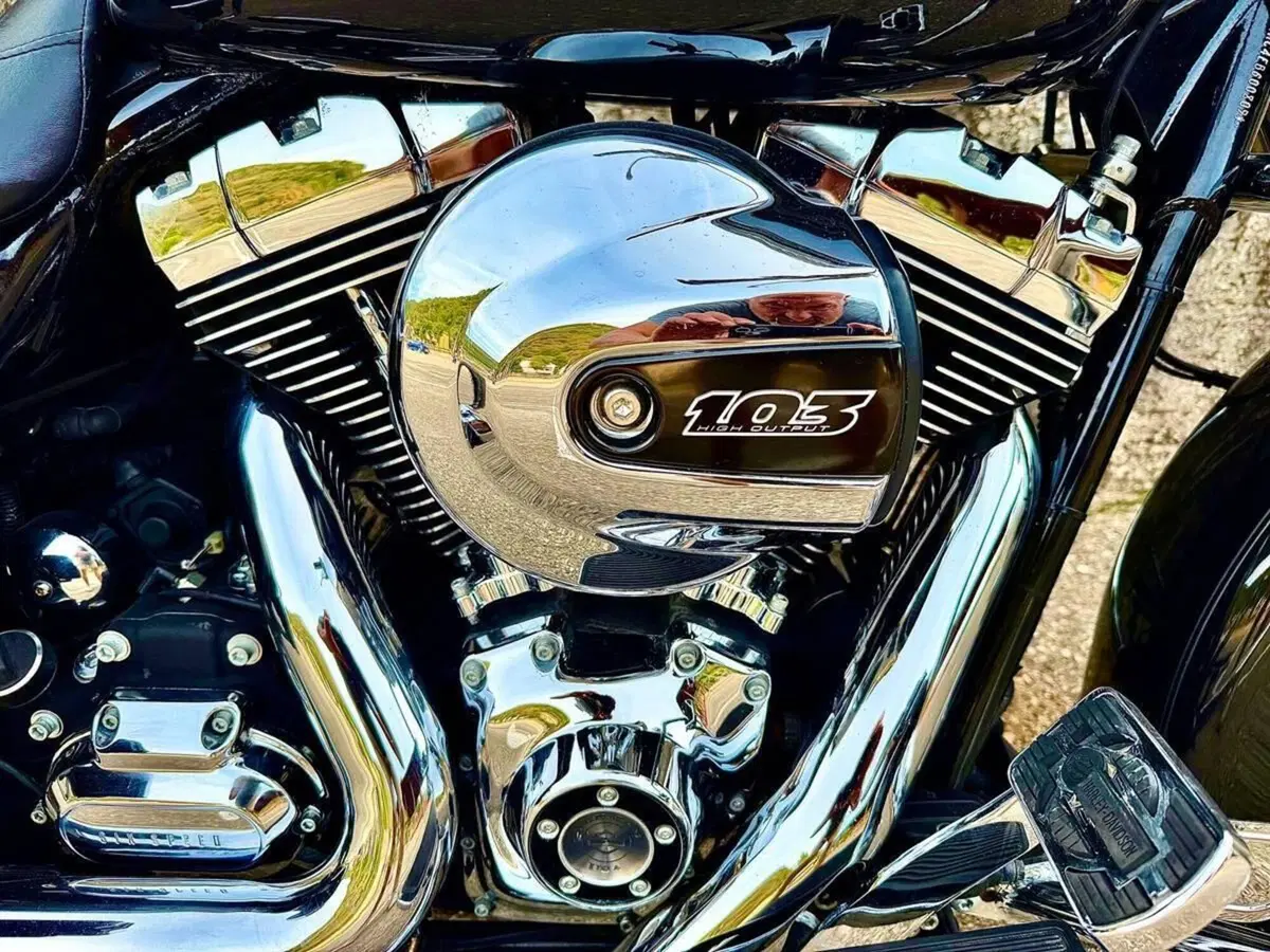 Harley-Davidson 1690 Road King (2013 - 16) - FLHR (10)