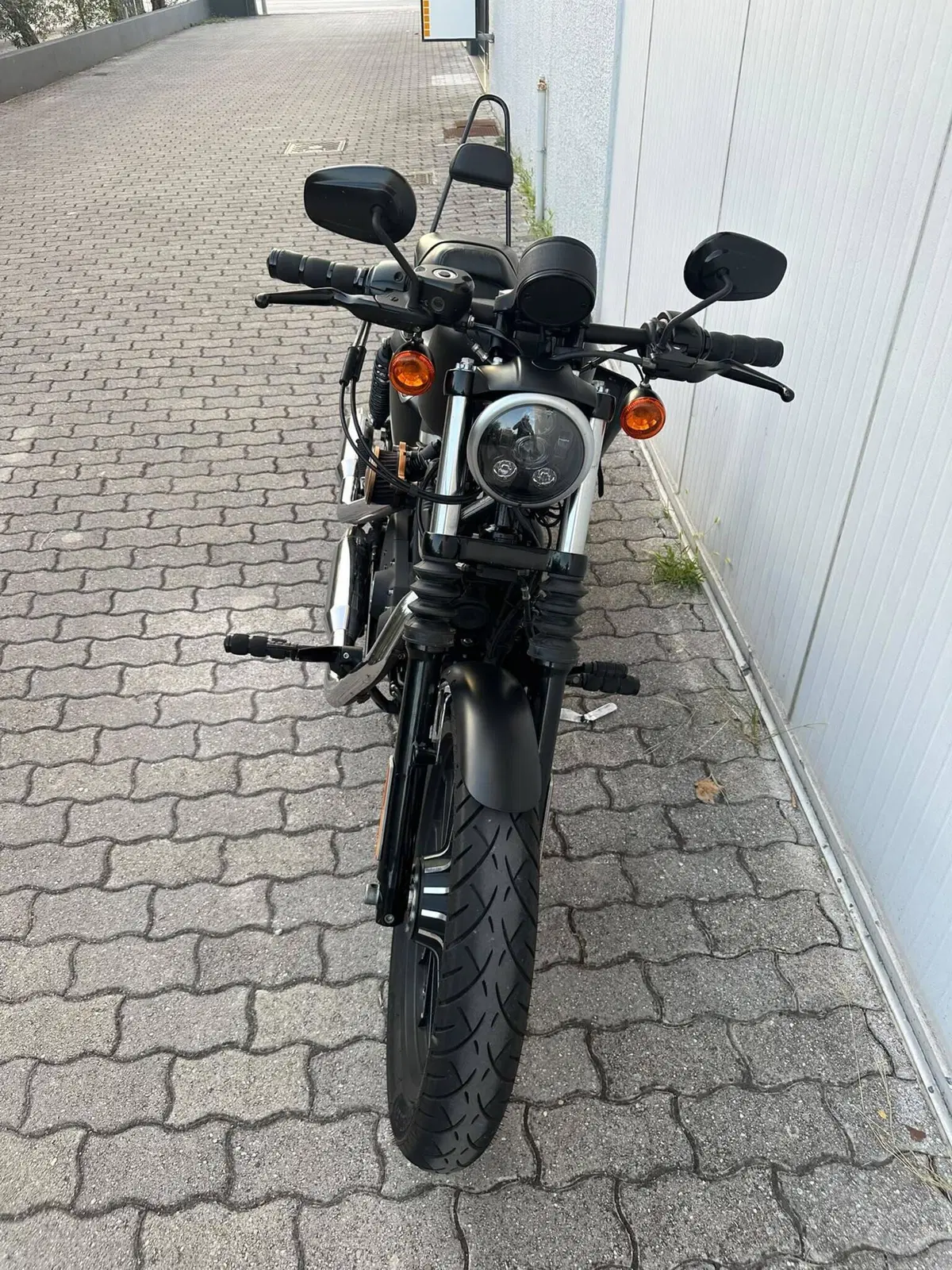 Harley-Davidson 883 Iron (2012 - 14) - XL 883N (2)