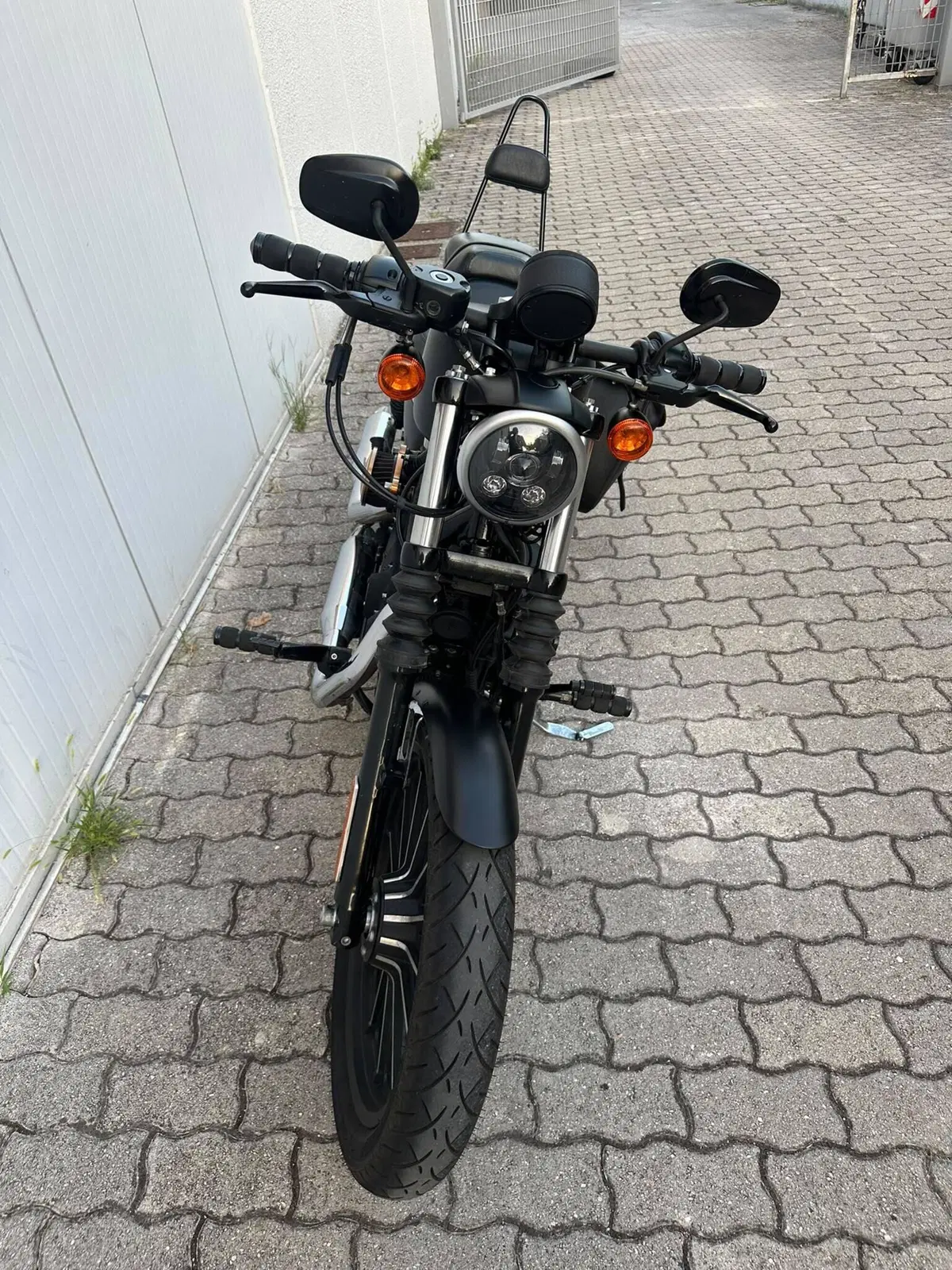 Harley-Davidson 883 Iron (2012 - 14) - XL 883N (7)