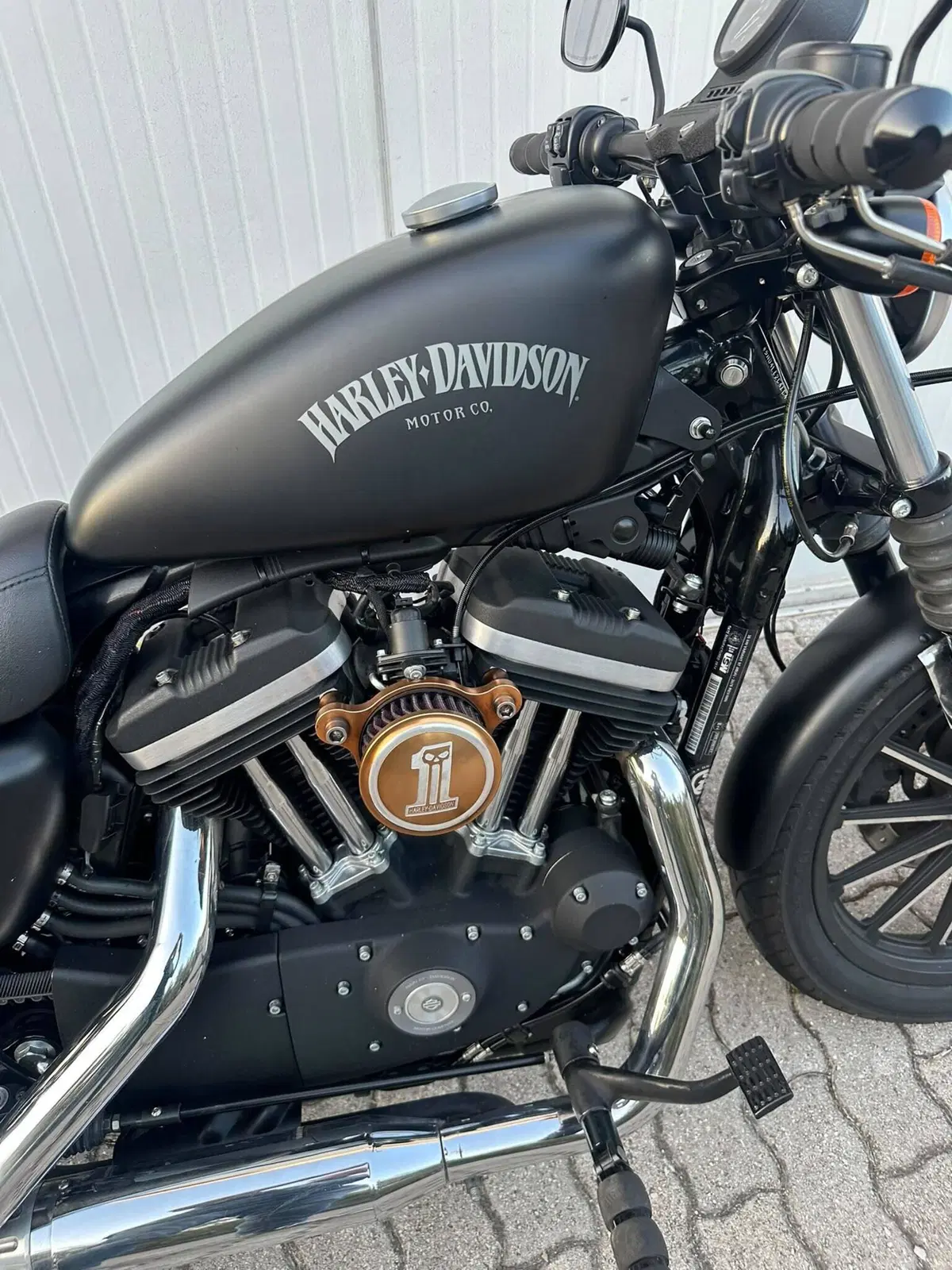 Harley-Davidson 883 Iron (2012 - 14) - XL 883N (6)