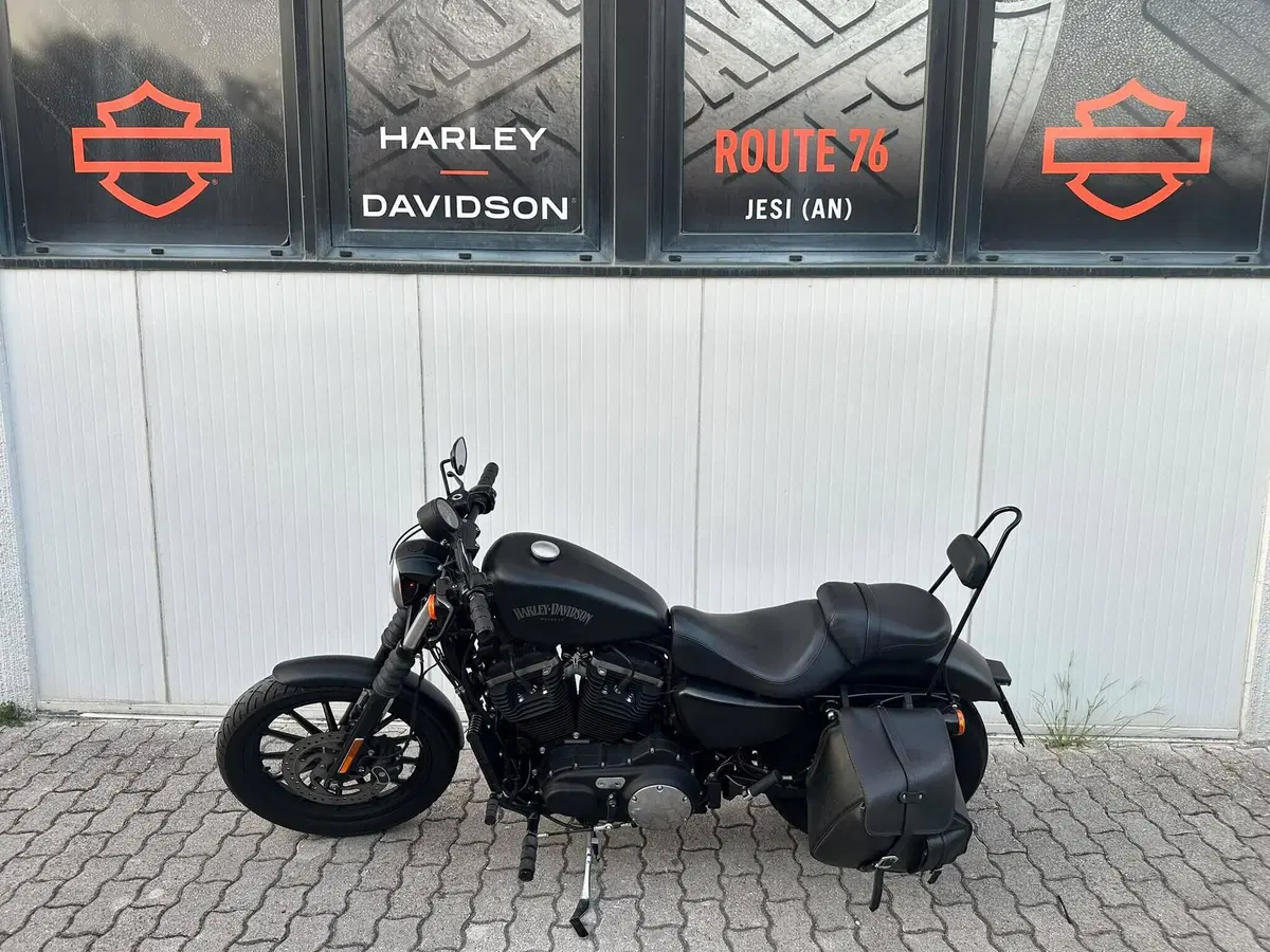 Harley-Davidson 883 Iron (2012 - 14) - XL 883N (11)