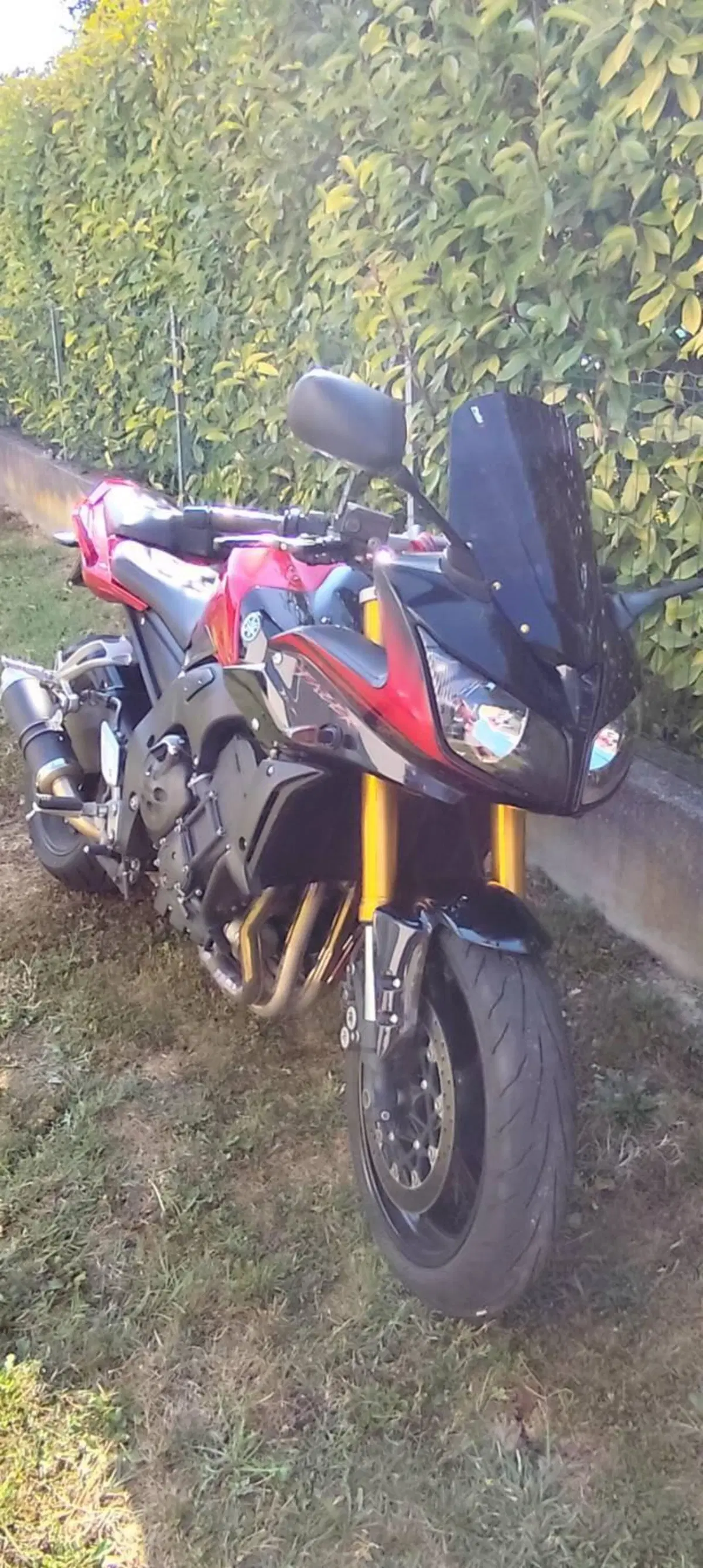 Yamaha FZ1 Fazer (2006 - 16) (2)