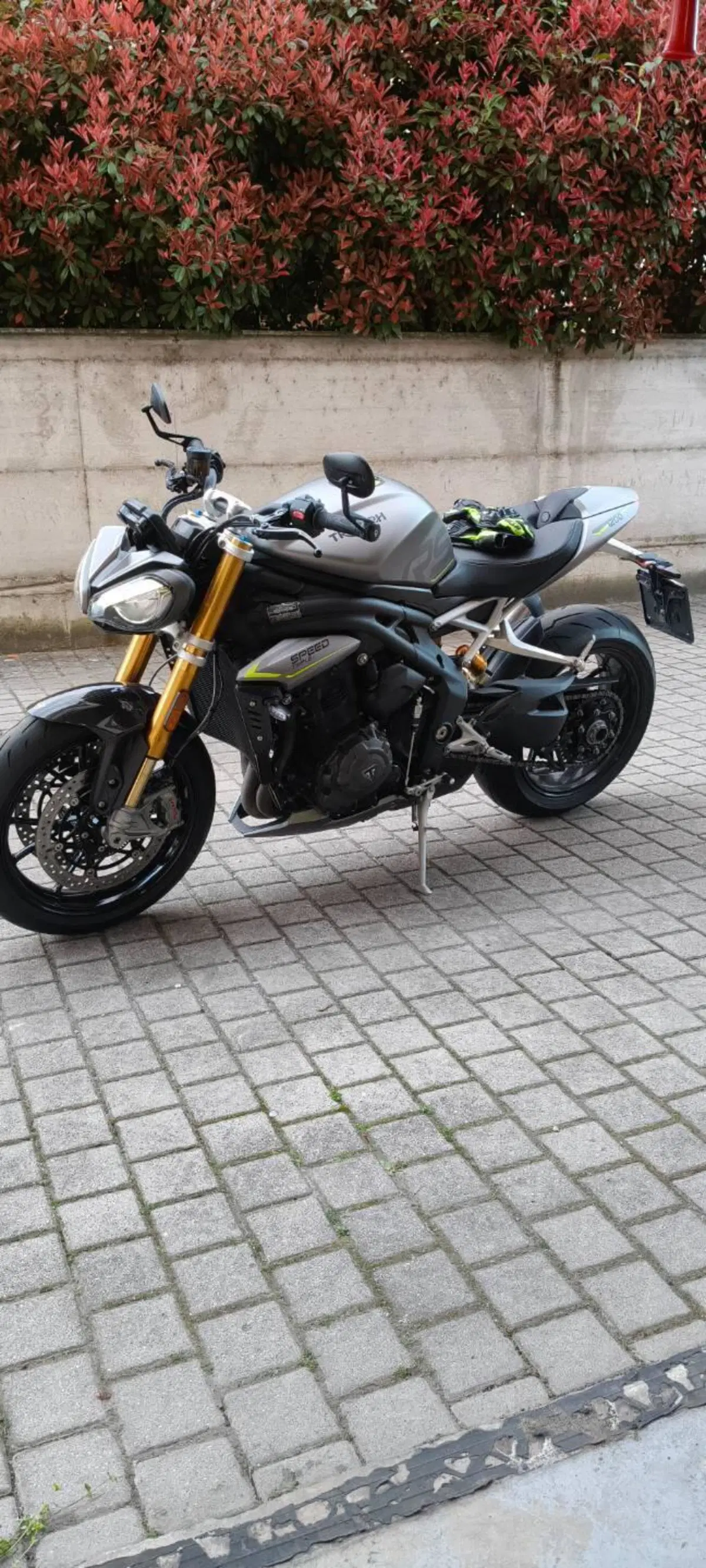 Triumph Speed Triple 1200 RS (2021 - 24) (6)