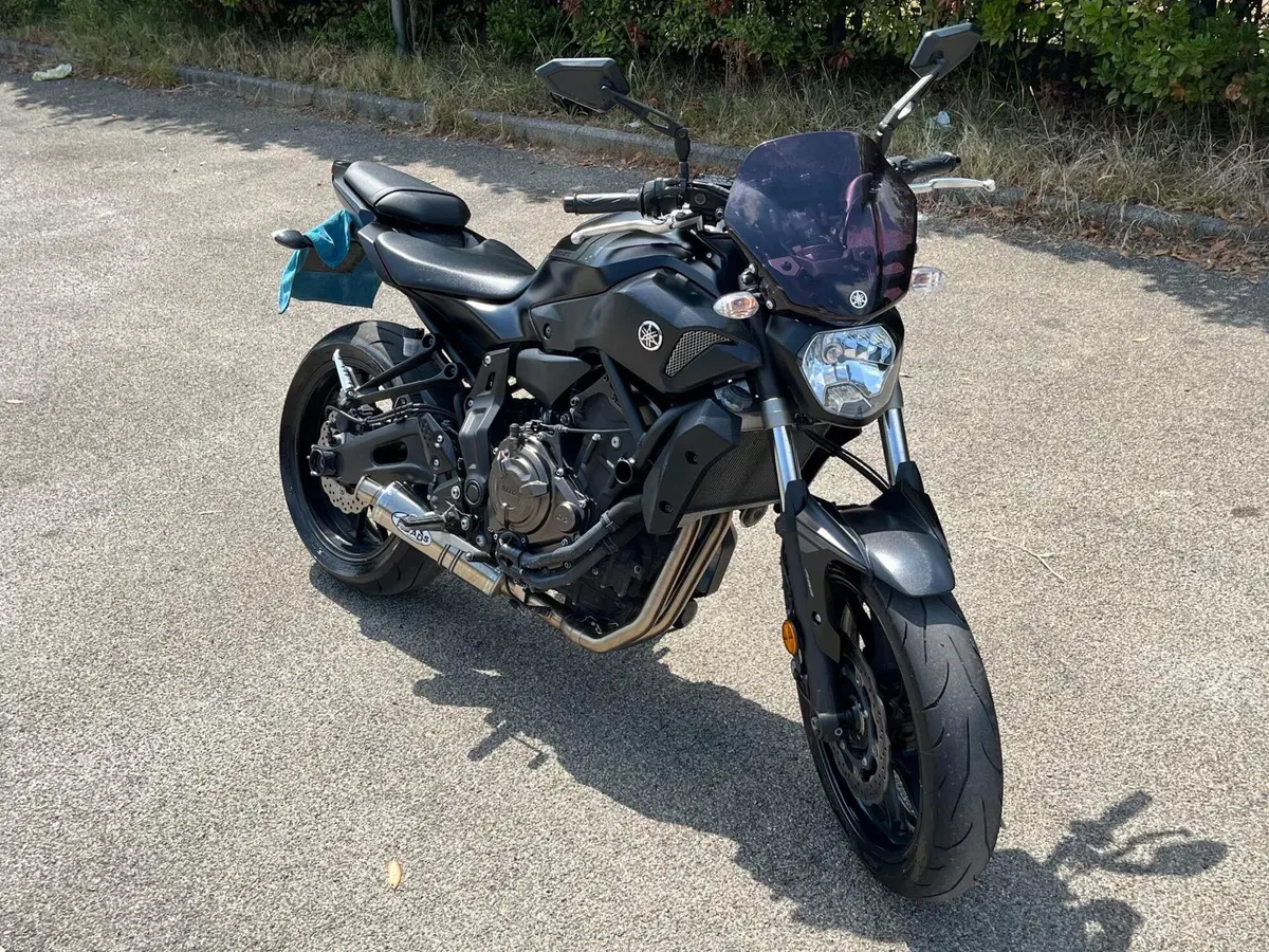 Yamaha MT-07 (2017 - 18) (2)
