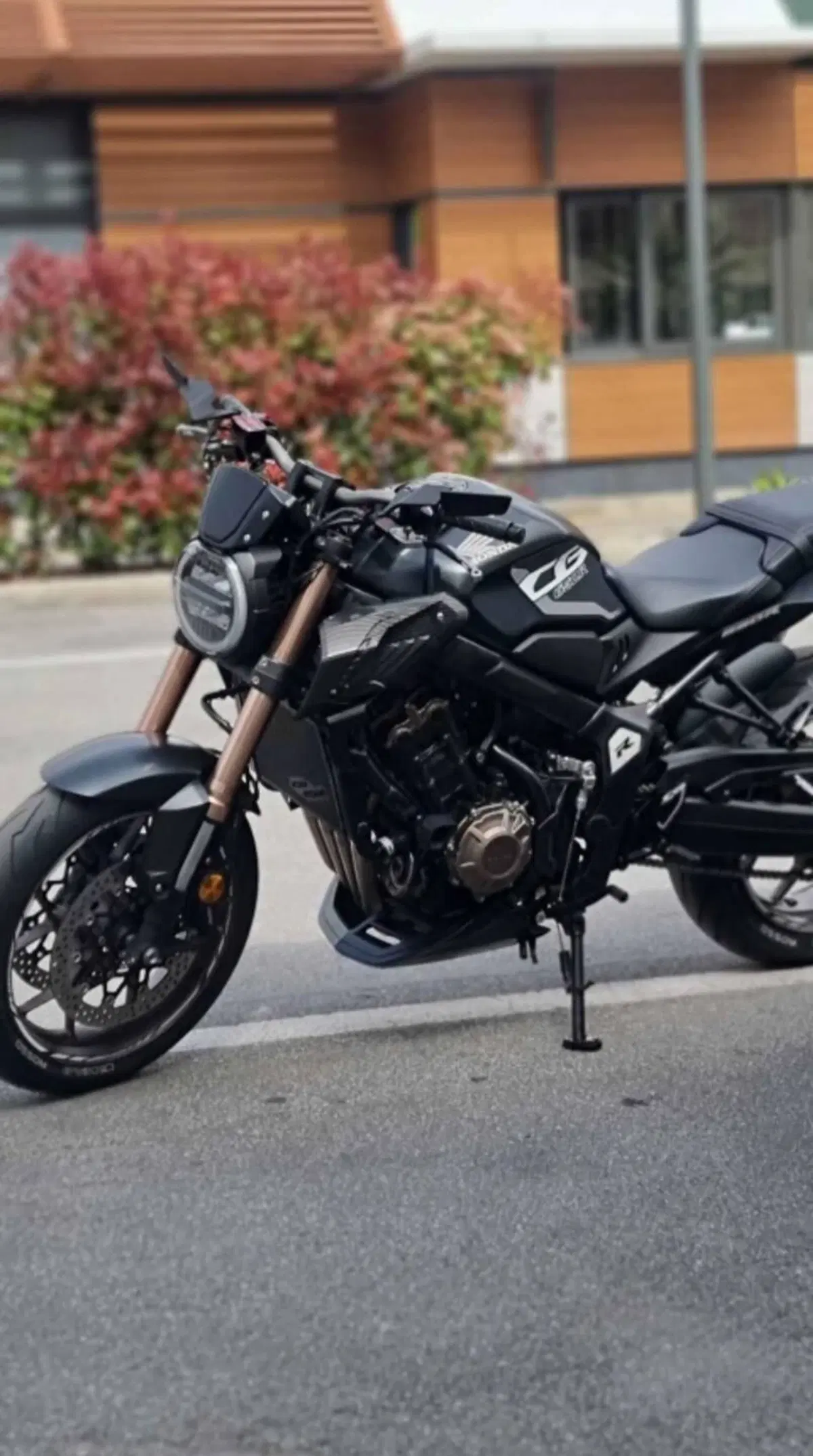 Honda CB 650 R (2021 - 23) (3)