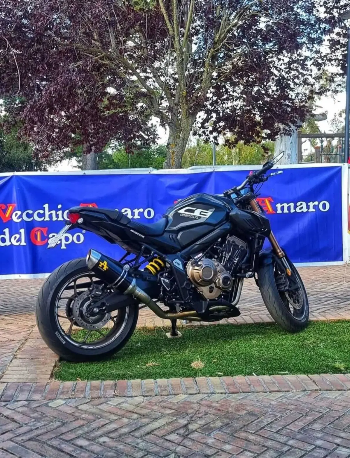 Honda CB 650 R (2021 - 23) (4)