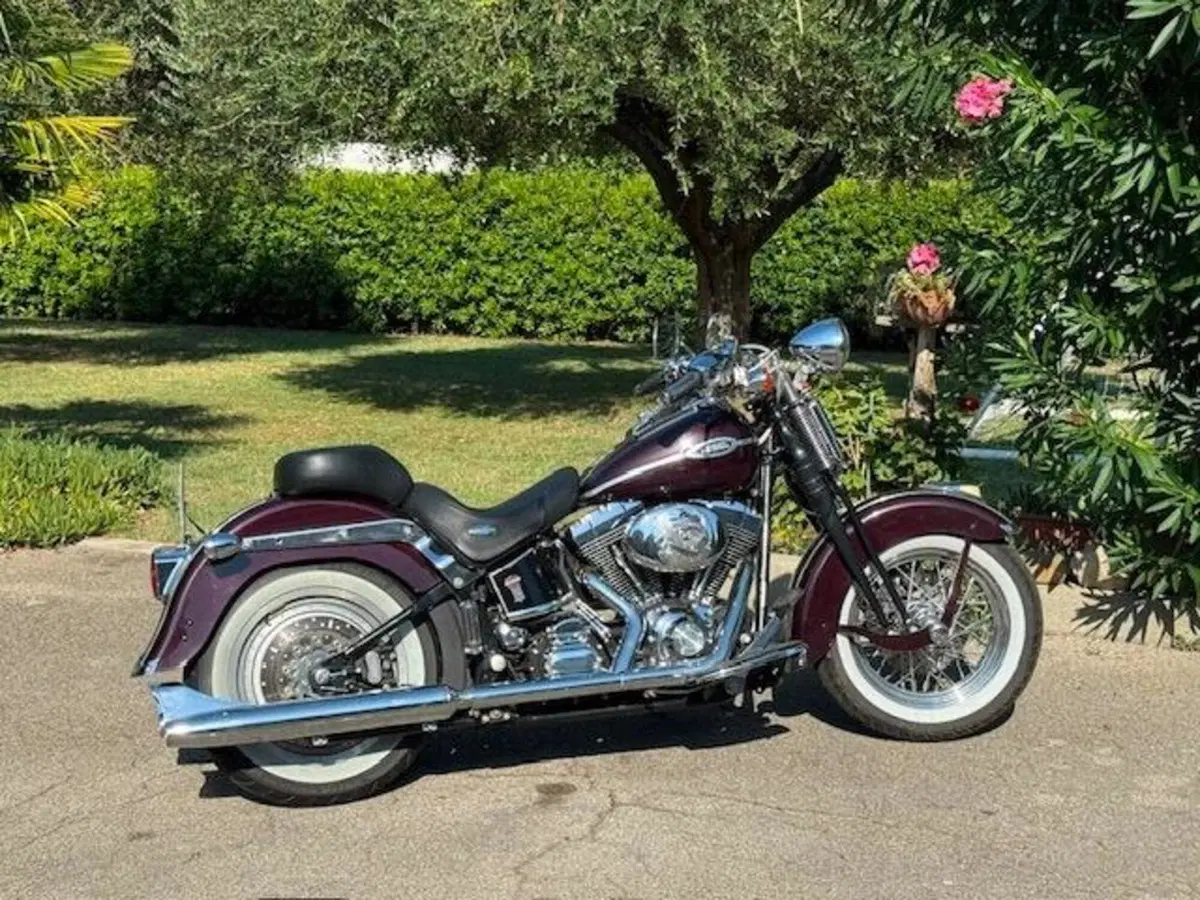 Harley-Davidson 1450 Springer Classic (2005) - FLSTSCI