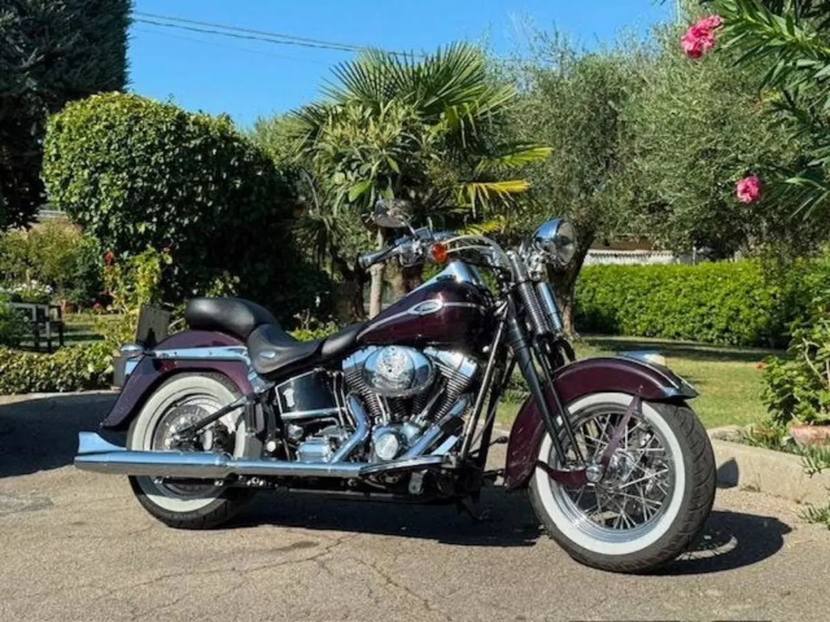 Harley-Davidson 1450 Springer Classic (2005) - FLSTSCI (2)