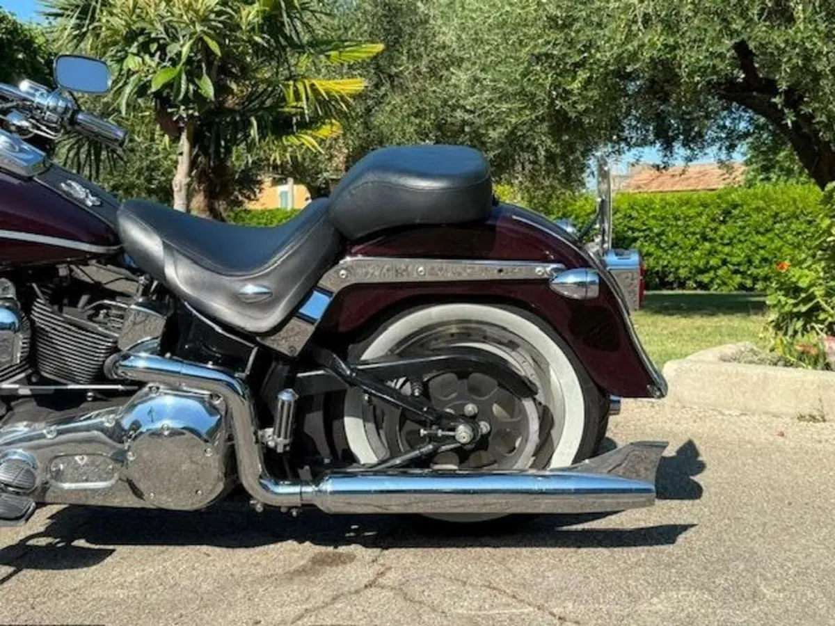 Harley-Davidson 1450 Springer Classic (2005) - FLSTSCI (3)