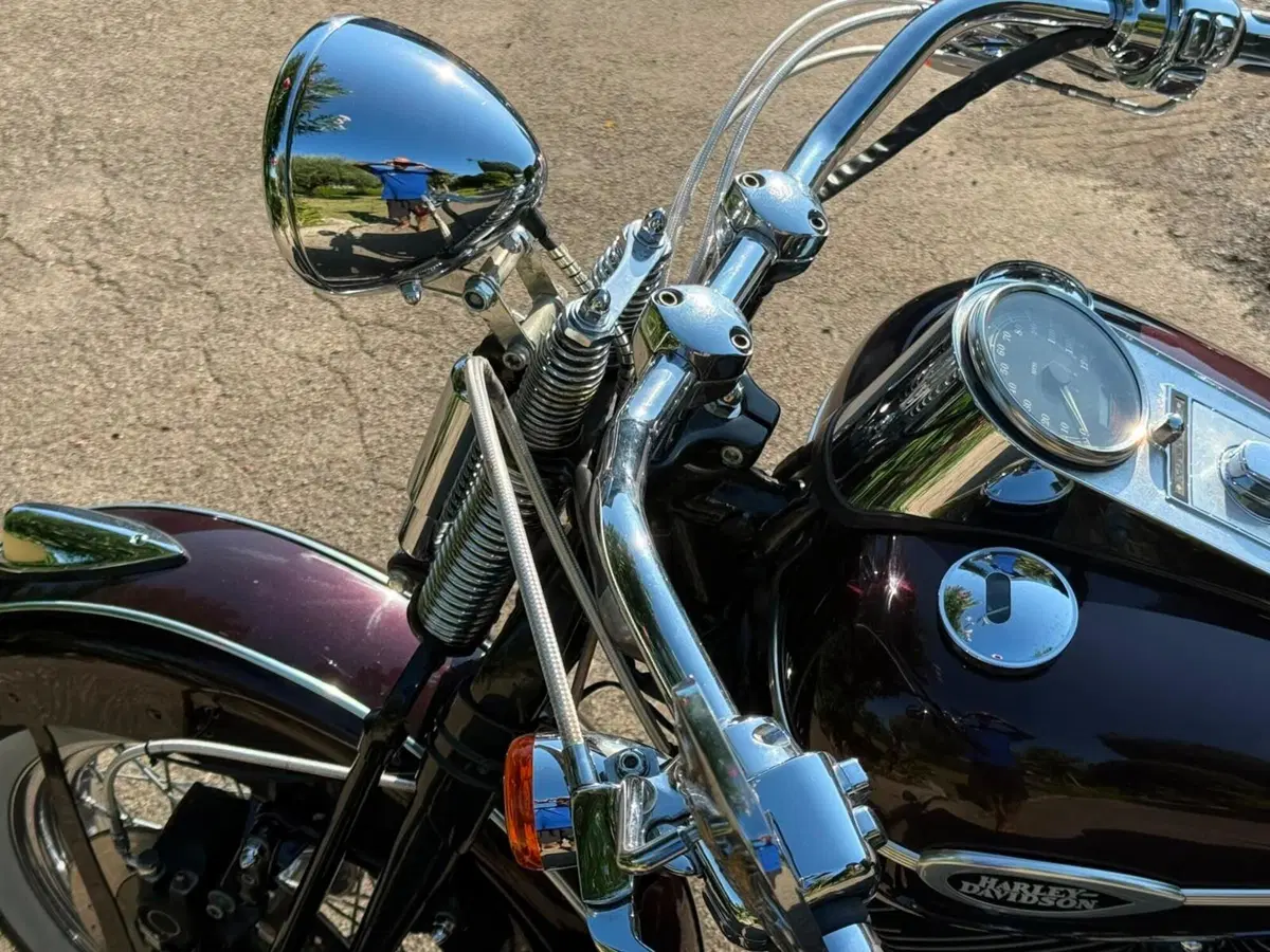 Harley-Davidson 1450 Springer Classic (2005) - FLSTSCI (4)