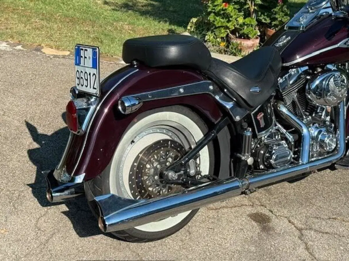 Harley-Davidson 1450 Springer Classic (2005) - FLSTSCI (7)