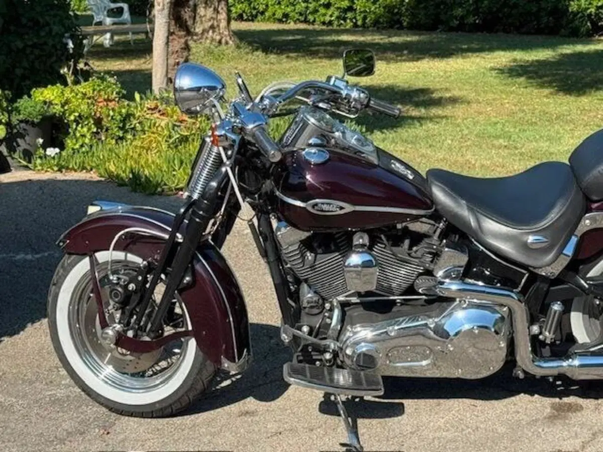 Harley-Davidson 1450 Springer Classic (2005) - FLSTSCI (9)