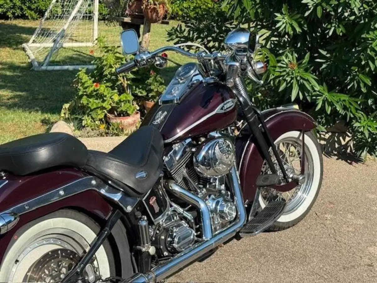 Harley-Davidson 1450 Springer Classic (2005) - FLSTSCI (10)