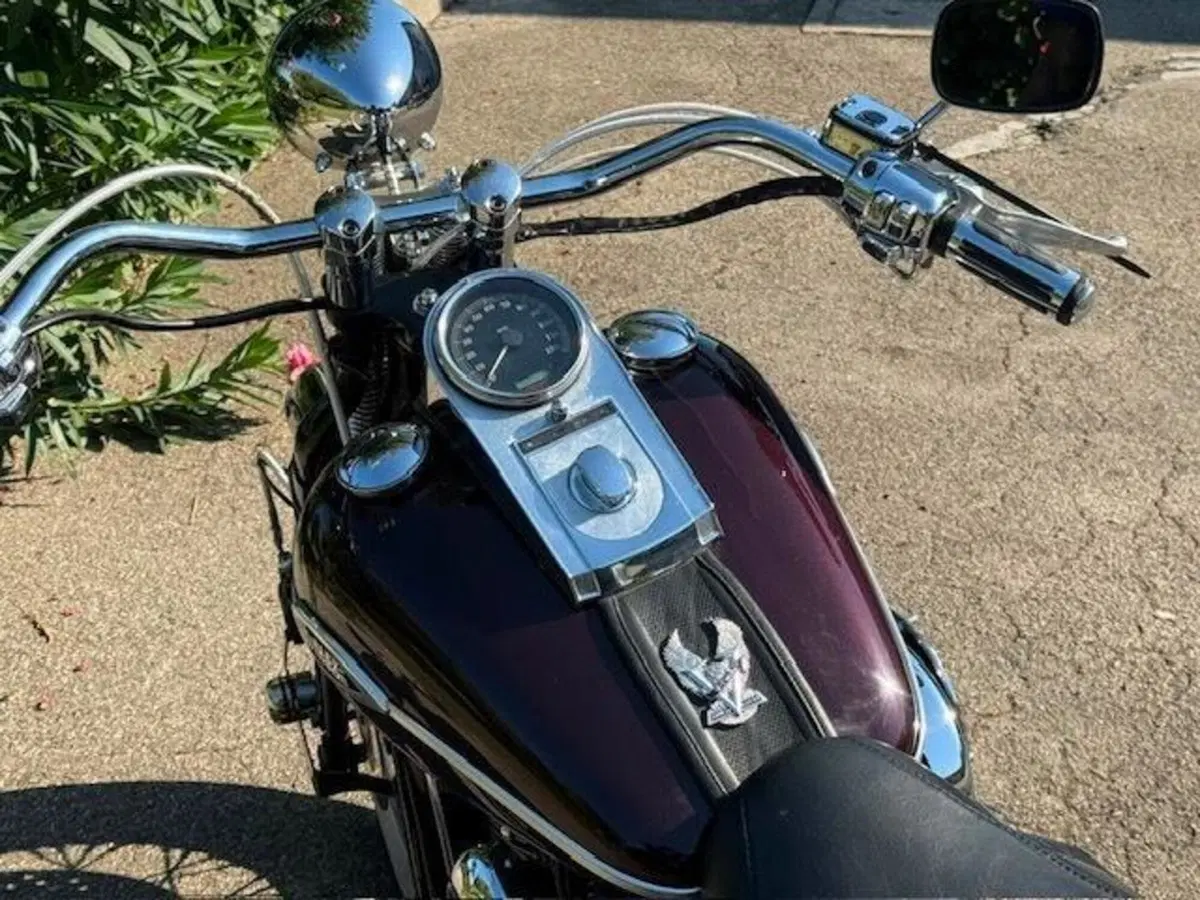 Harley-Davidson 1450 Springer Classic (2005) - FLSTSCI (11)
