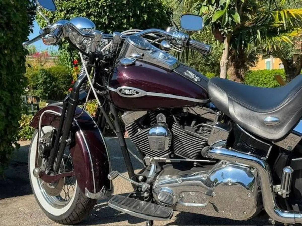 Harley-Davidson 1450 Springer Classic (2005) - FLSTSCI (14)