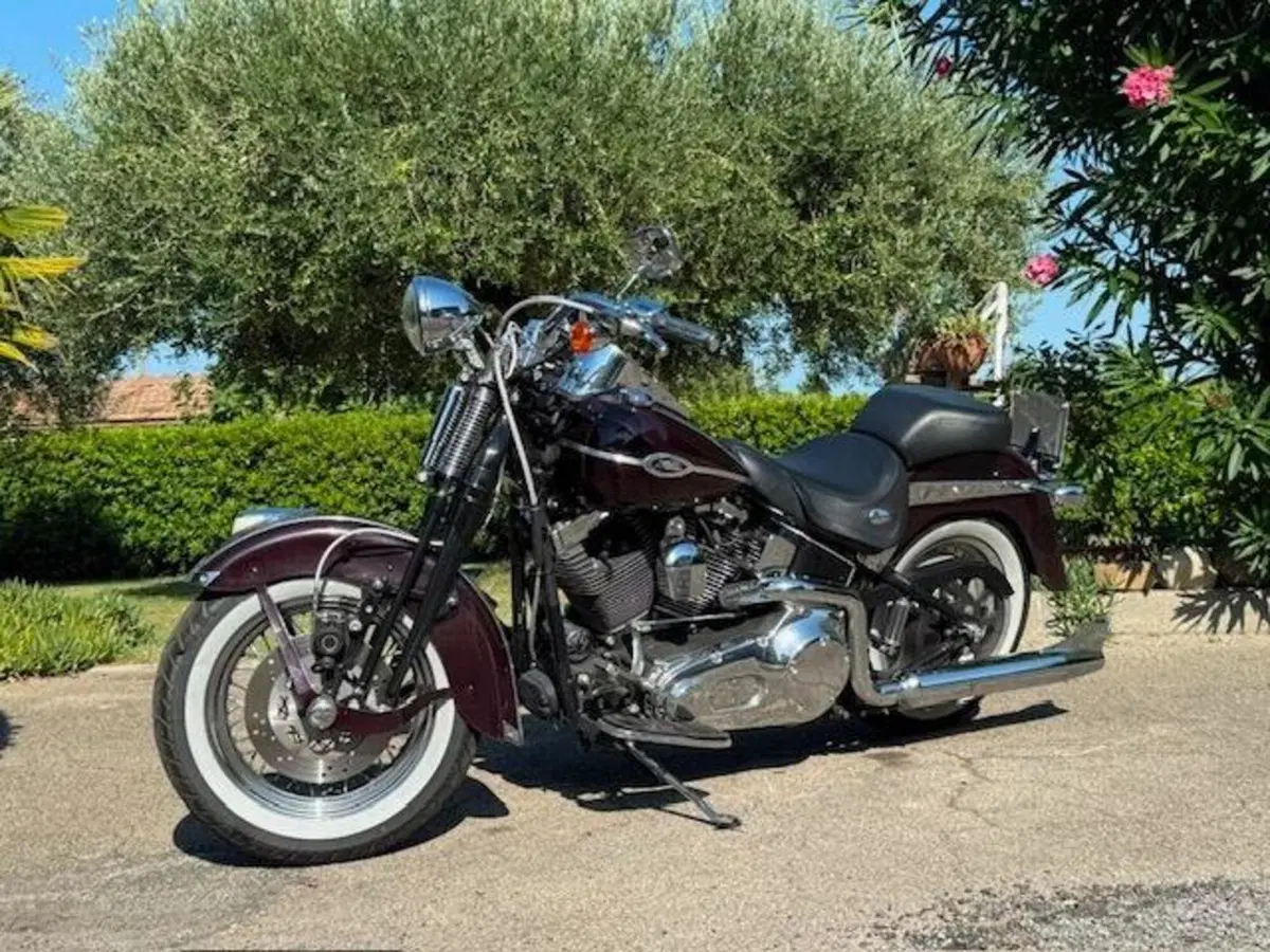 Harley-Davidson 1450 Springer Classic (2005) - FLSTSCI (15)