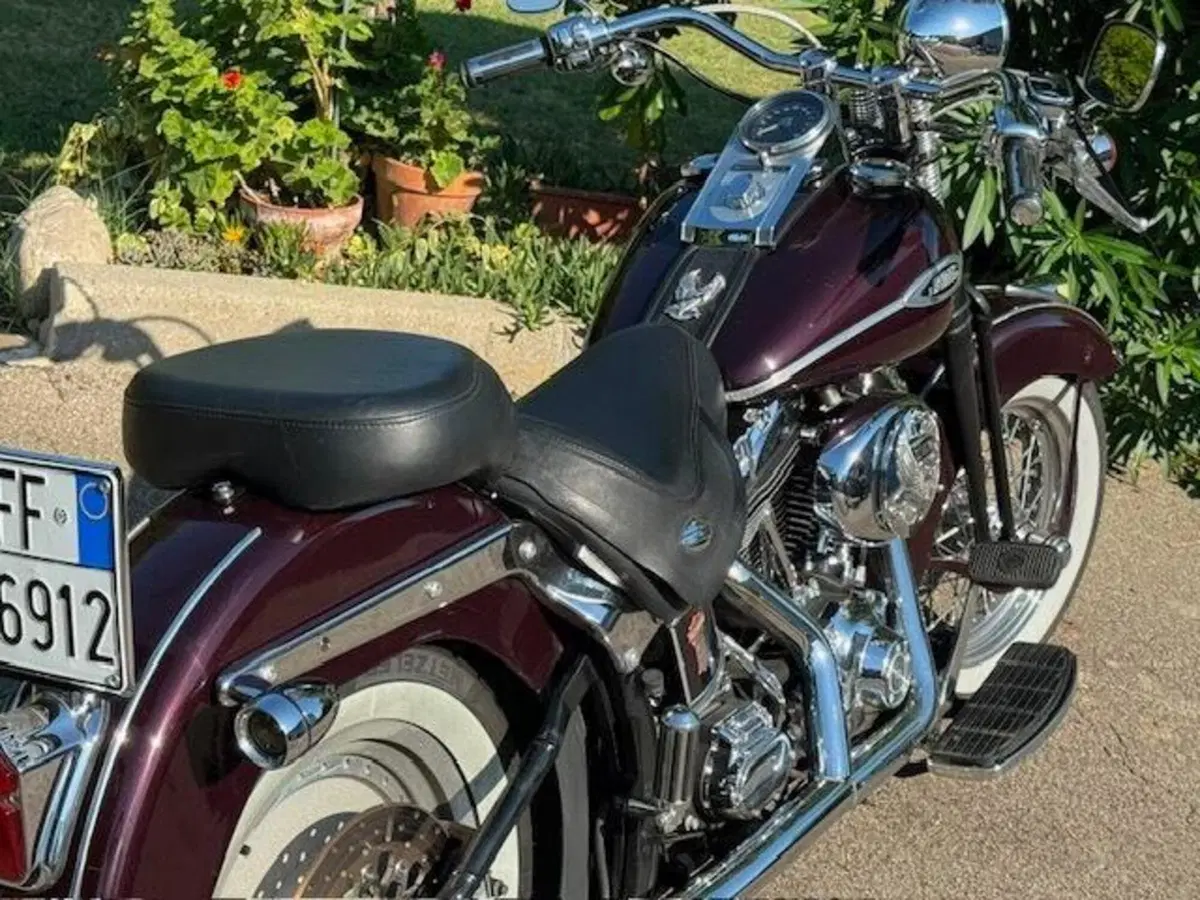 Harley-Davidson 1450 Springer Classic (2005) - FLSTSCI (17)